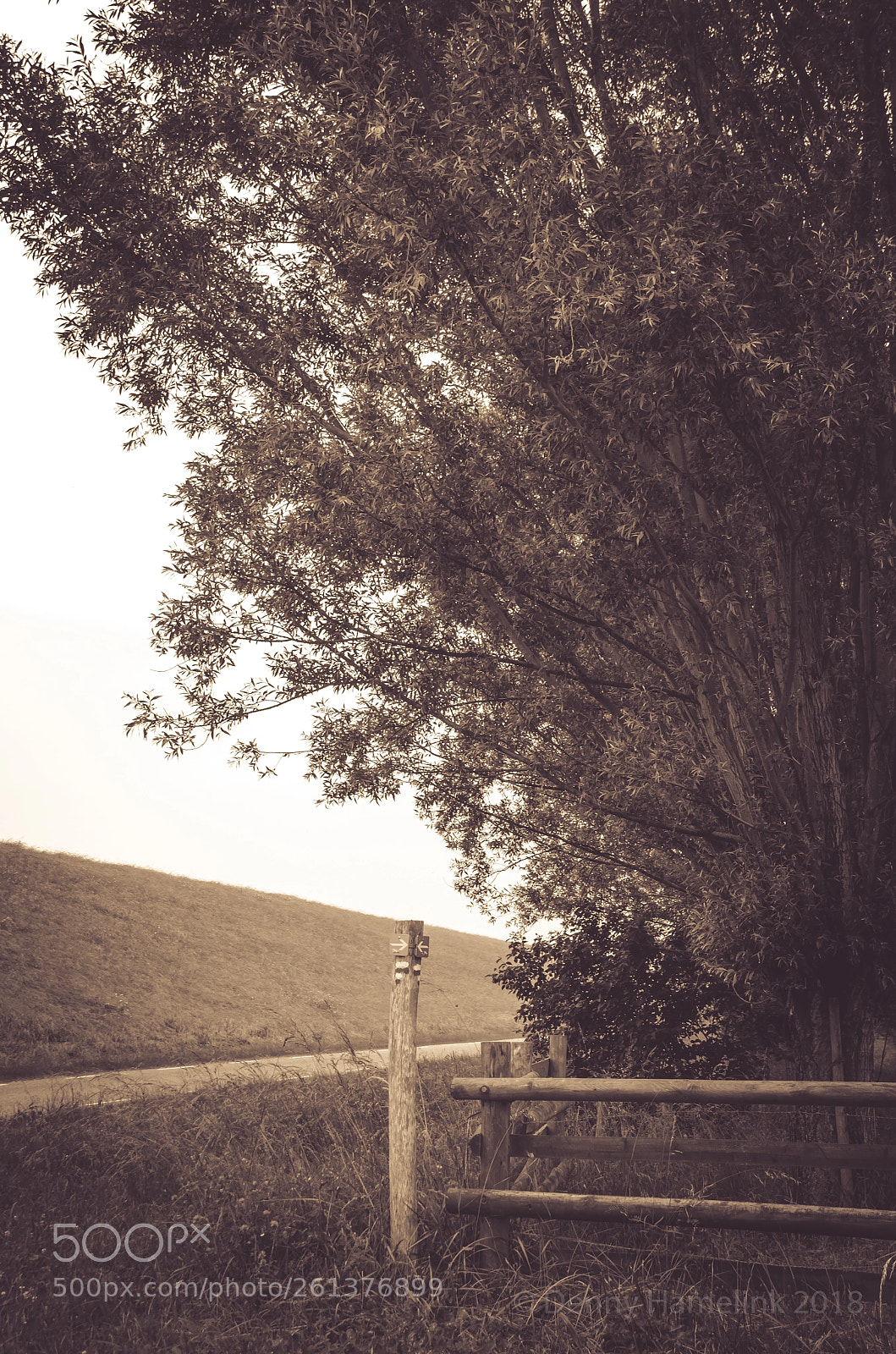 Nikon D7000 sample photo. Road ahead photography