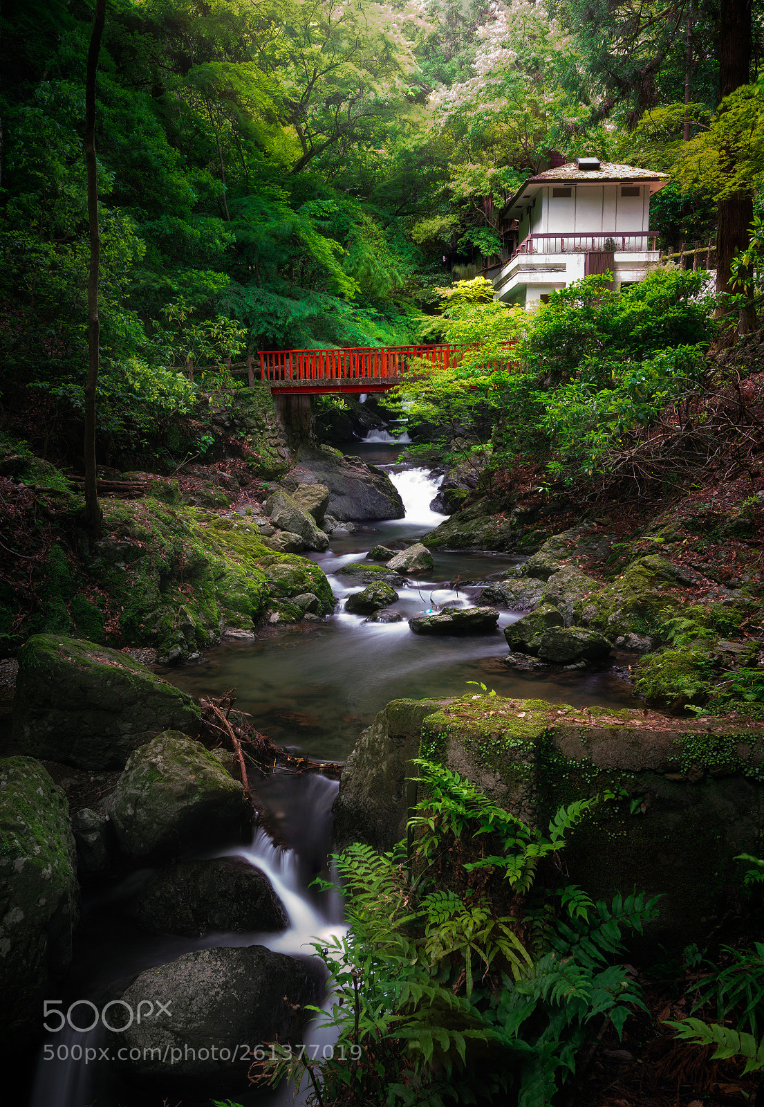 Sony a7R II sample photo. Mt minoo | osaka | japan | 2018 photography
