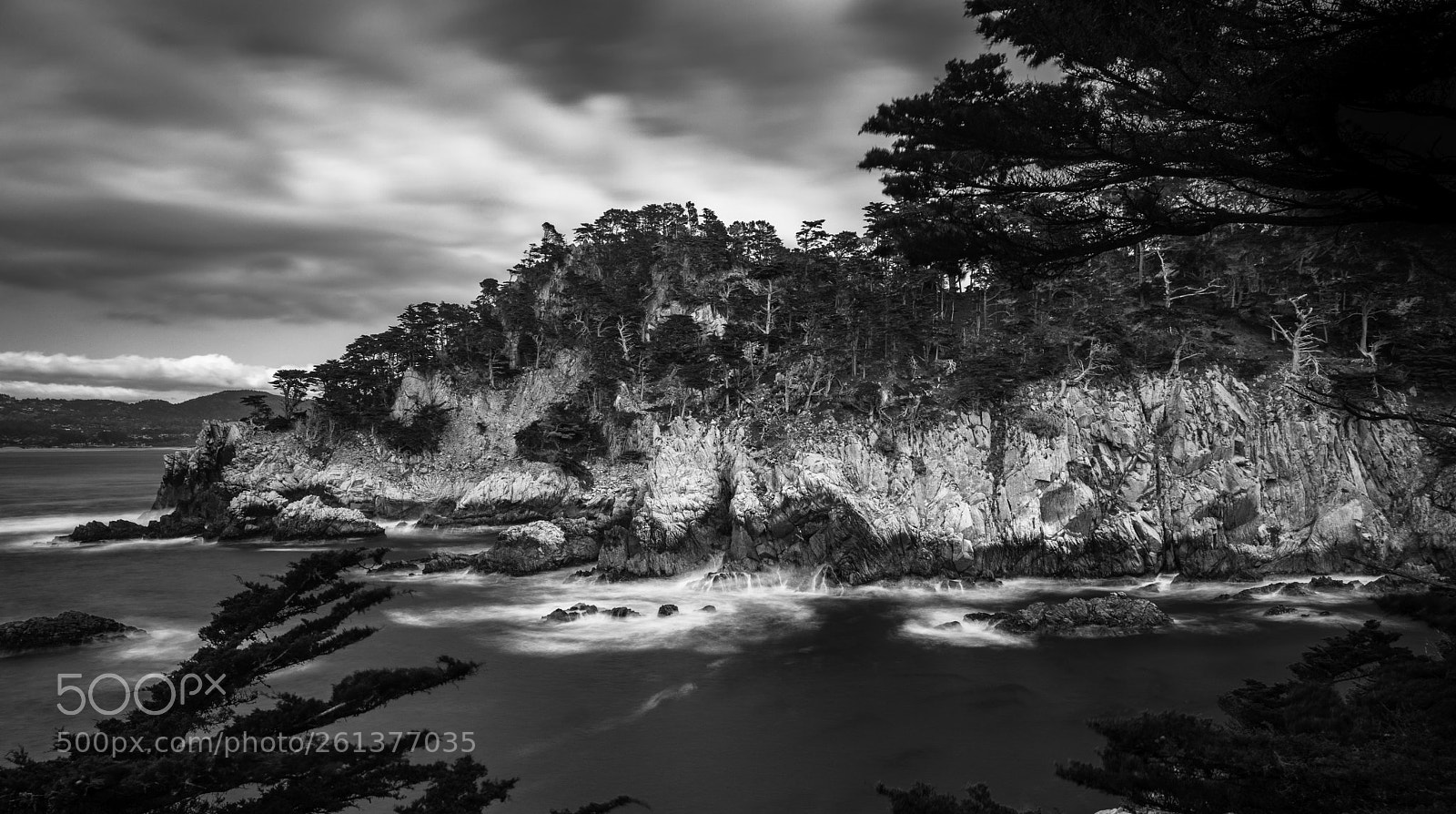Leica Q (Typ 116) sample photo. Point lobos cove photography