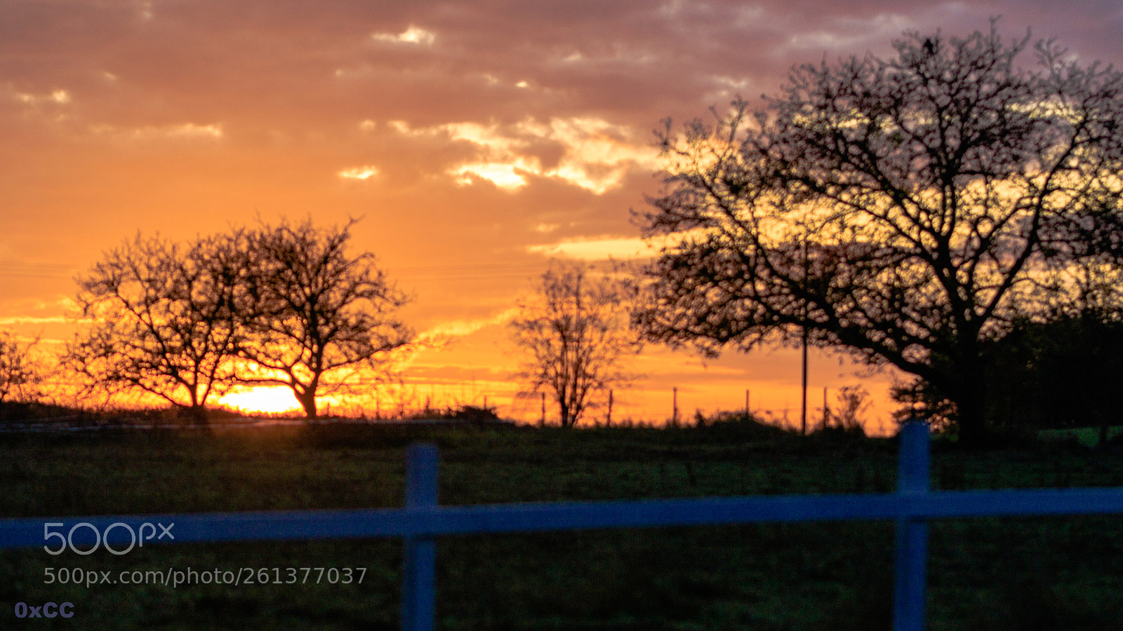 Canon EOS 7D Mark II sample photo. Sunset photography