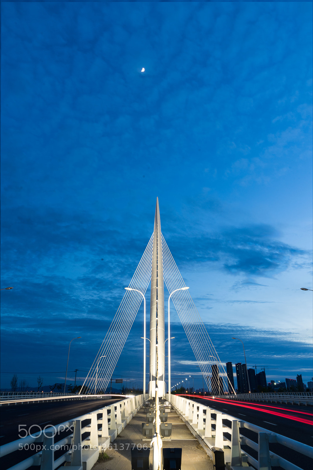 Sony a7 II sample photo. Bridge photography