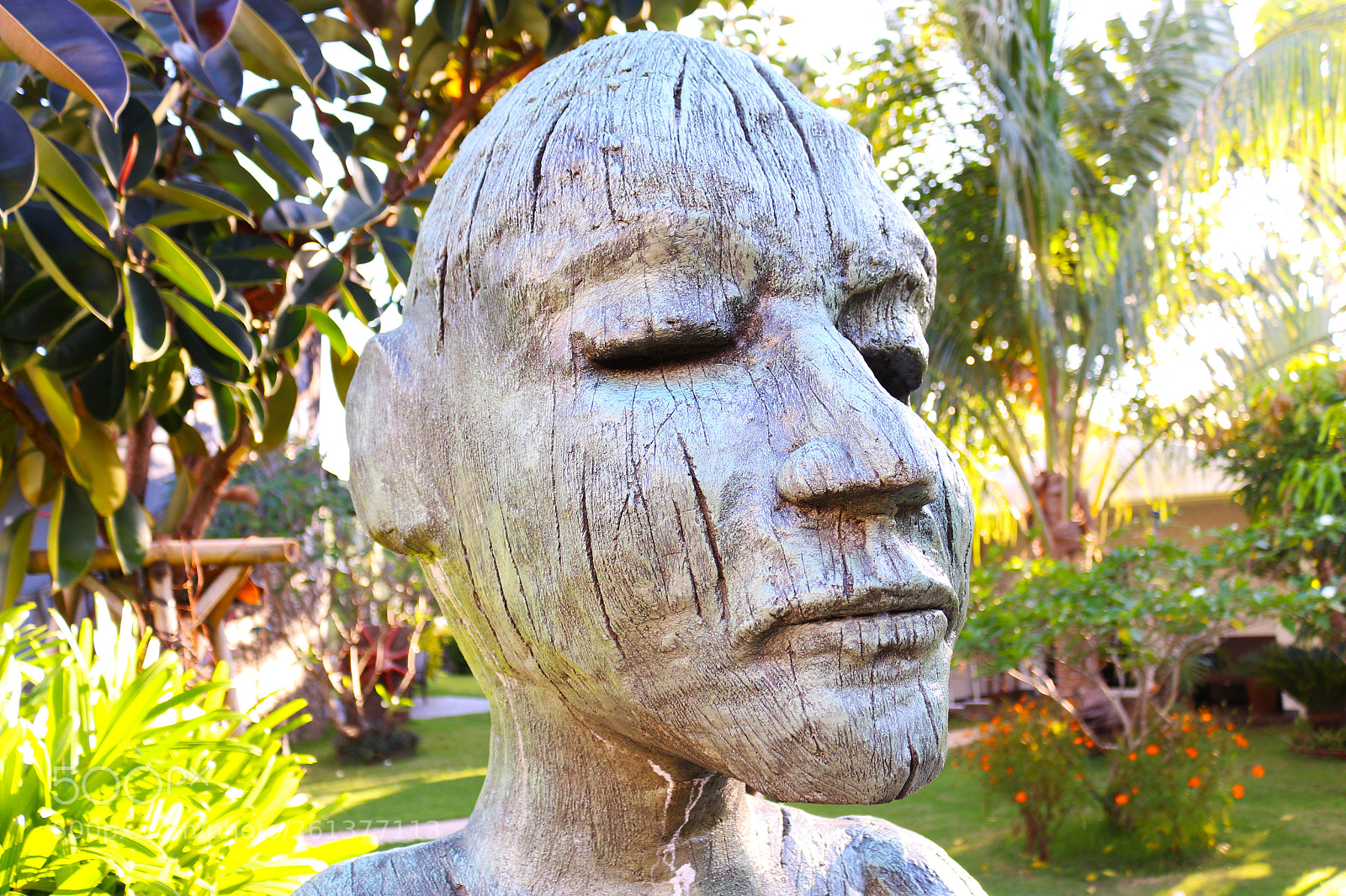 Canon EOS 700D (EOS Rebel T5i / EOS Kiss X7i) sample photo. A wooden sculpture of photography