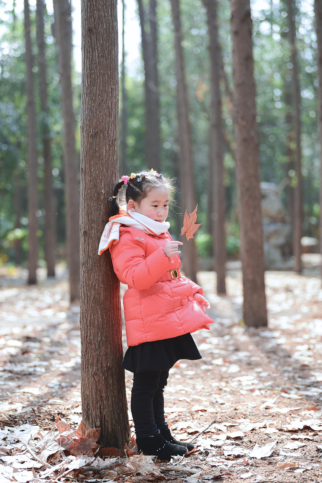 Nikon D750 sample photo. Untitled photography