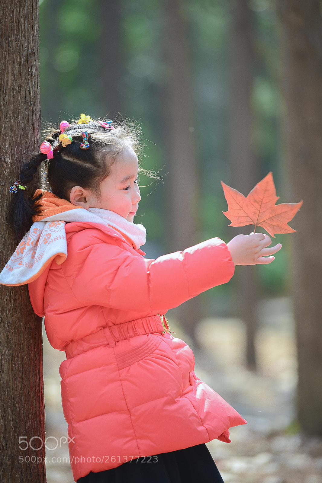 Nikon D750 sample photo. Untitled photography