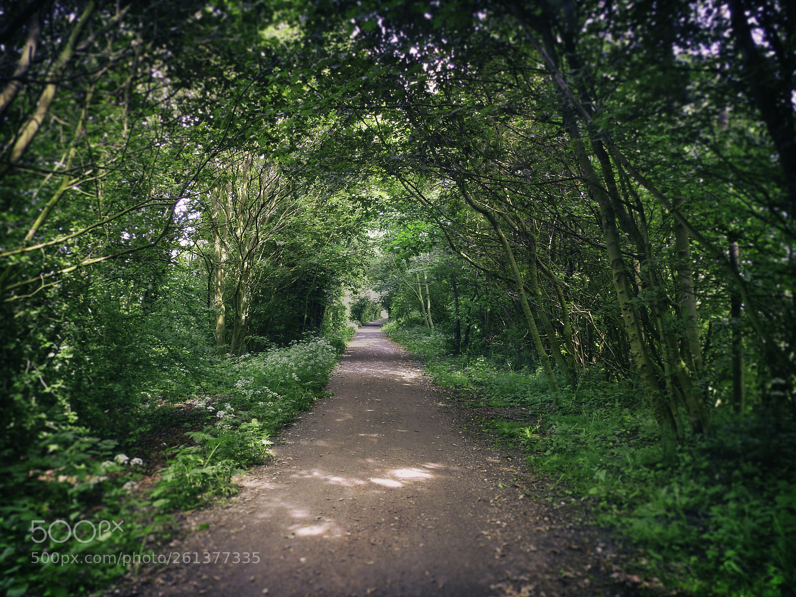 Nikon Coolpix P900 sample photo. Haswell to hart walkway photography
