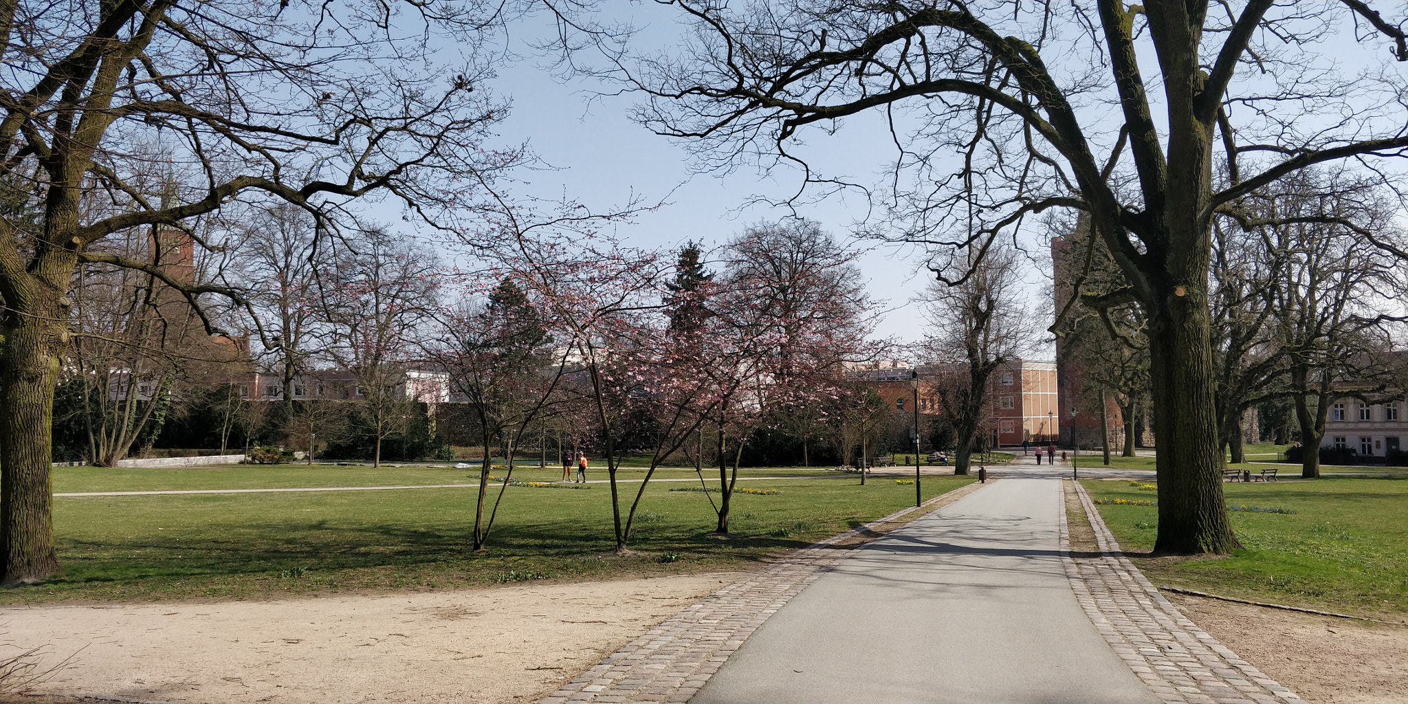 OnePlus 5T sample photo. Subtle sprout photography