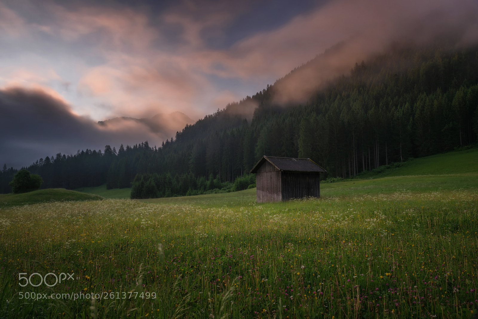 Nikon D750 sample photo. Smoked cabin photography