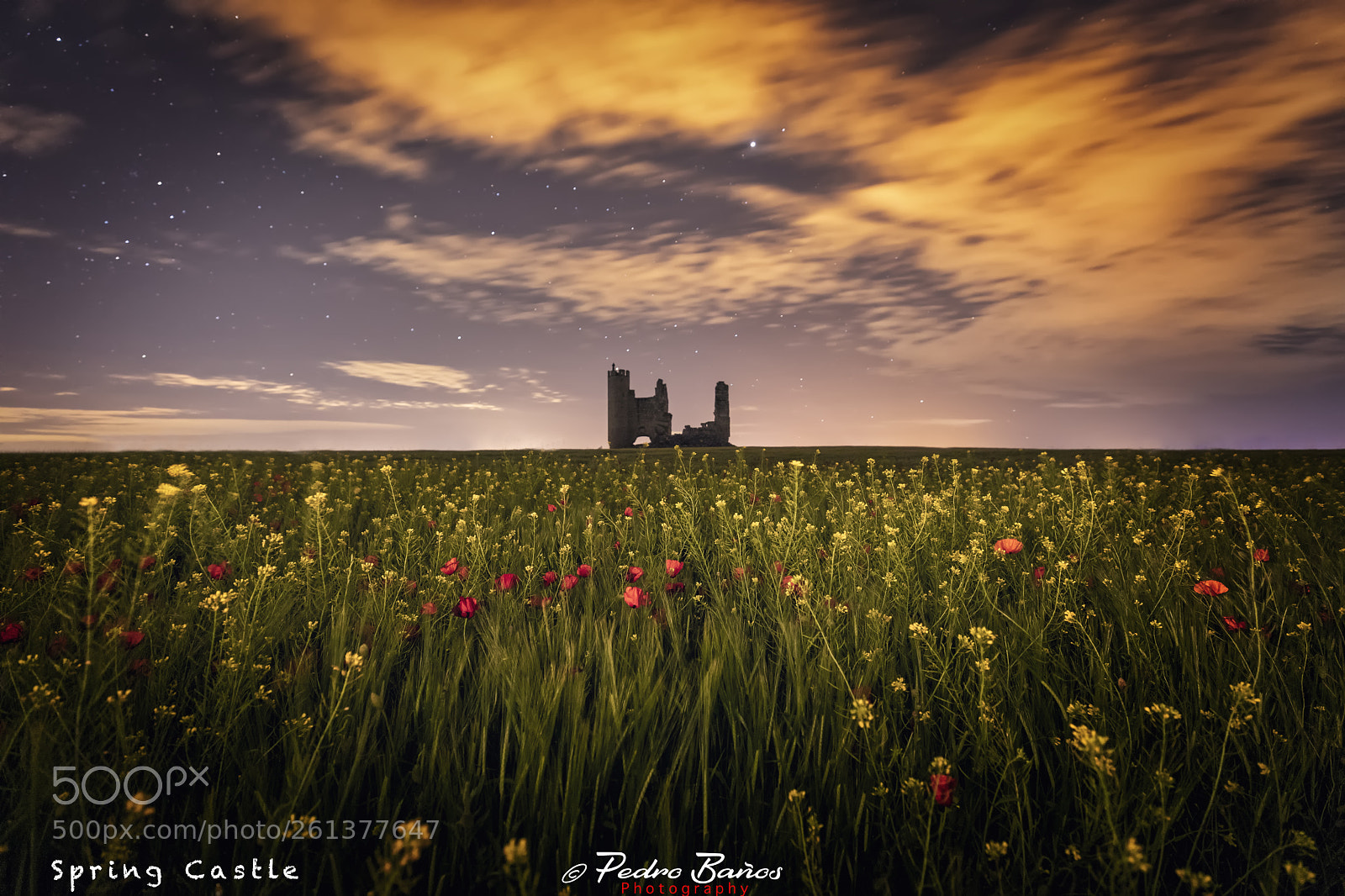 Canon EOS 5D Mark IV sample photo. Spring castle photography
