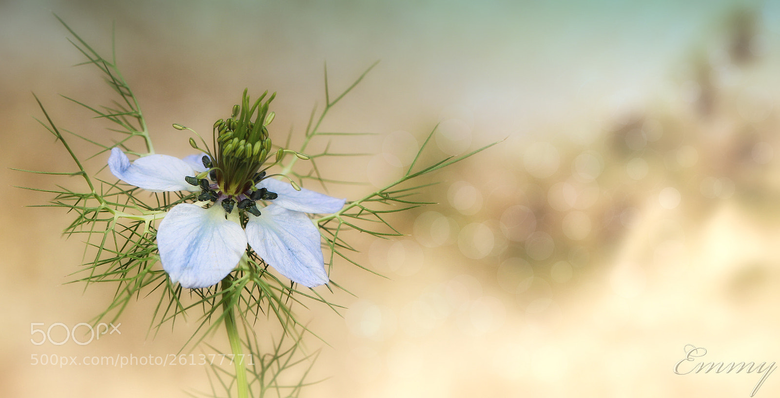Canon EOS 7D sample photo. In the wee small photography