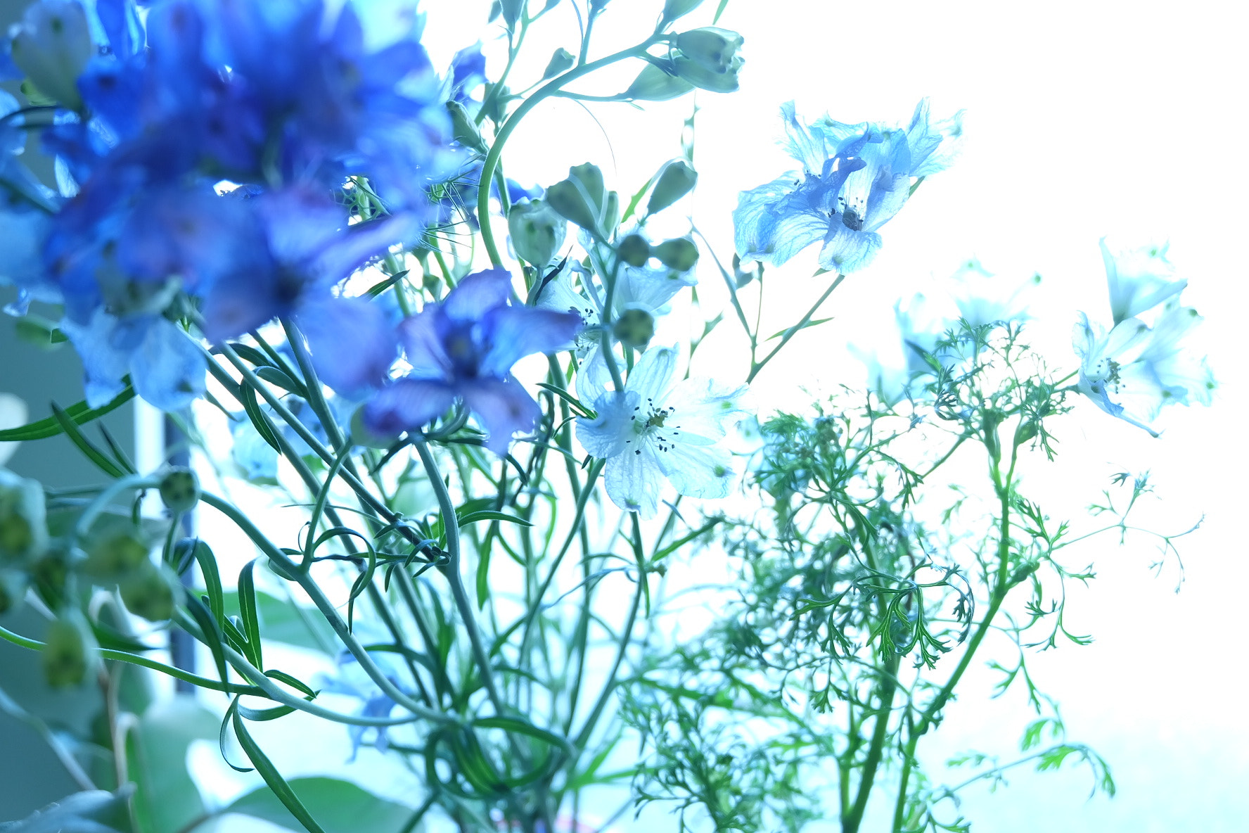 Fujifilm X-A2 sample photo. Early summer photography