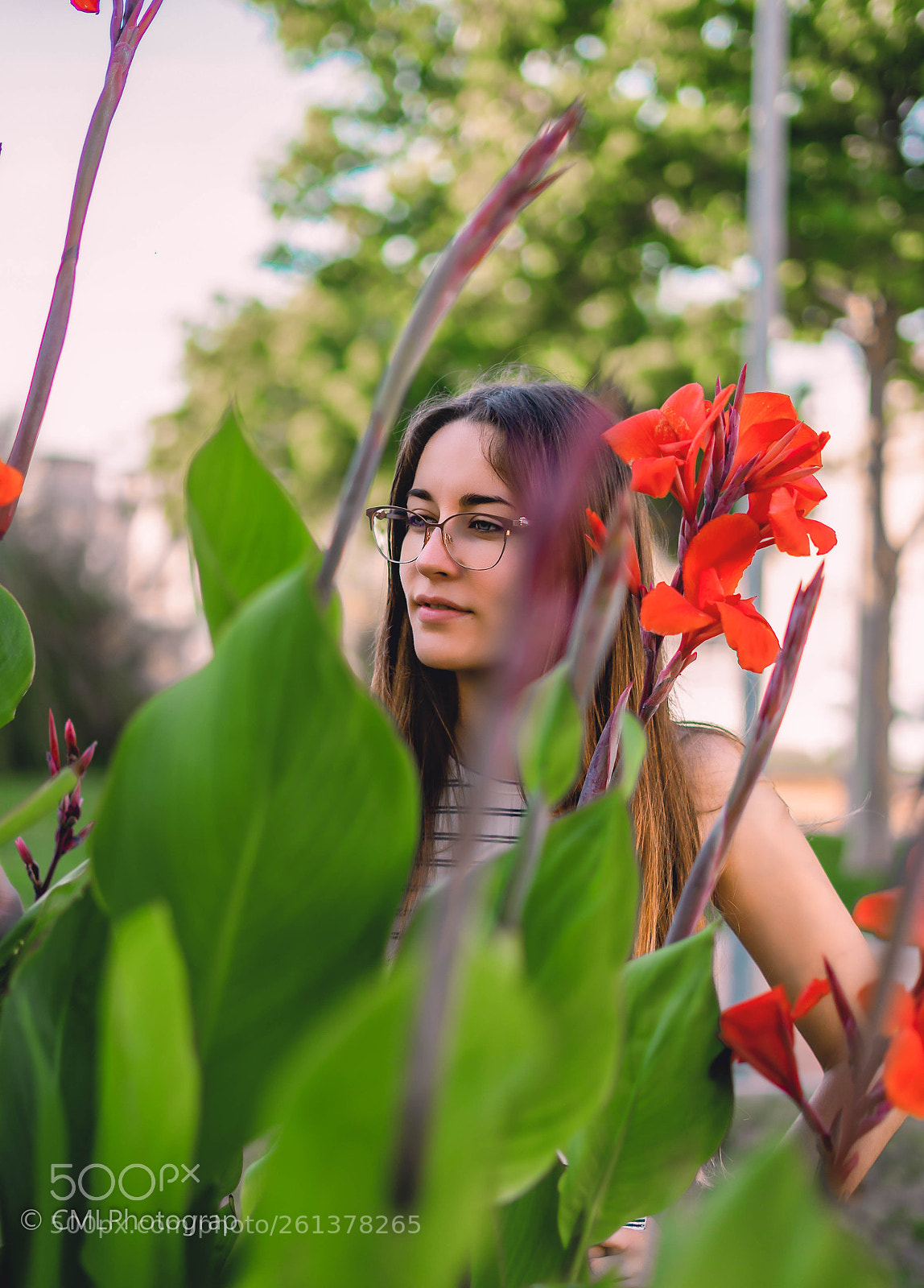 Sony a7 II sample photo. Untitled photography