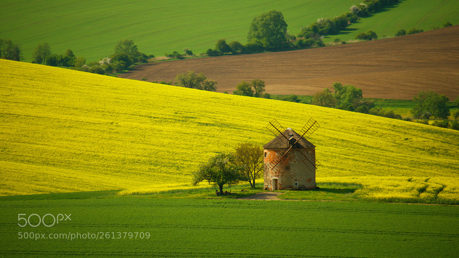Nikon D7000 sample photo. Spring landscape photography