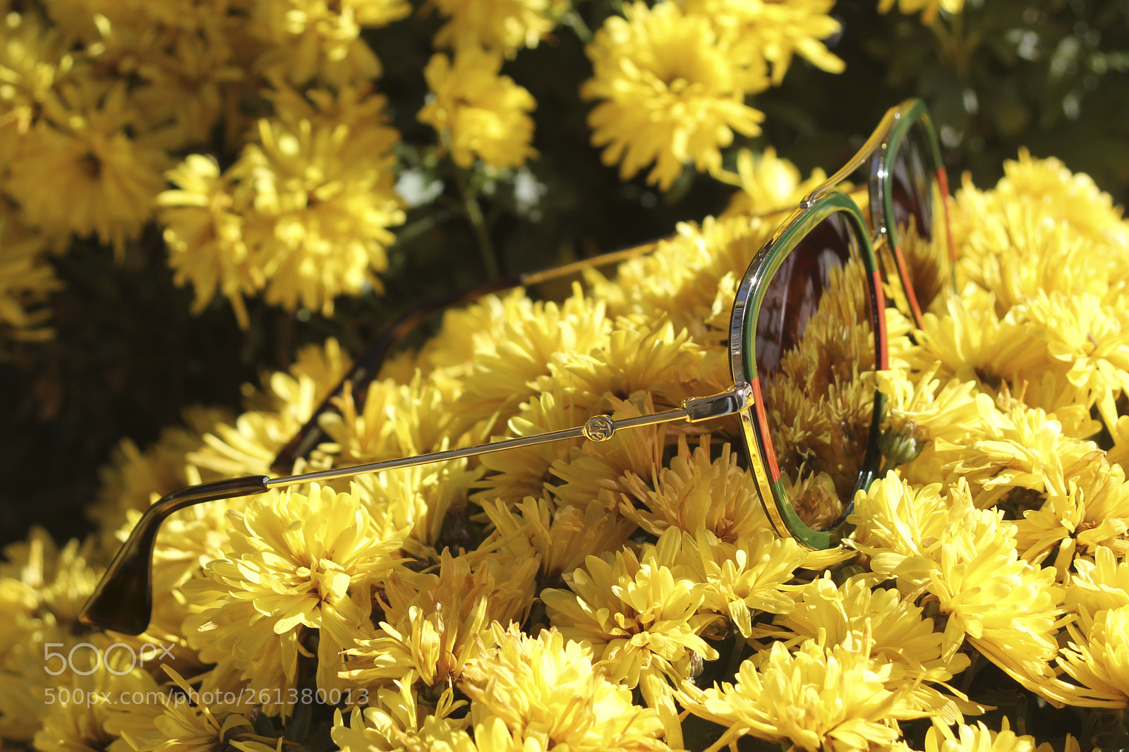 Canon EOS 550D (EOS Rebel T2i / EOS Kiss X4) sample photo. Sunglasses photography