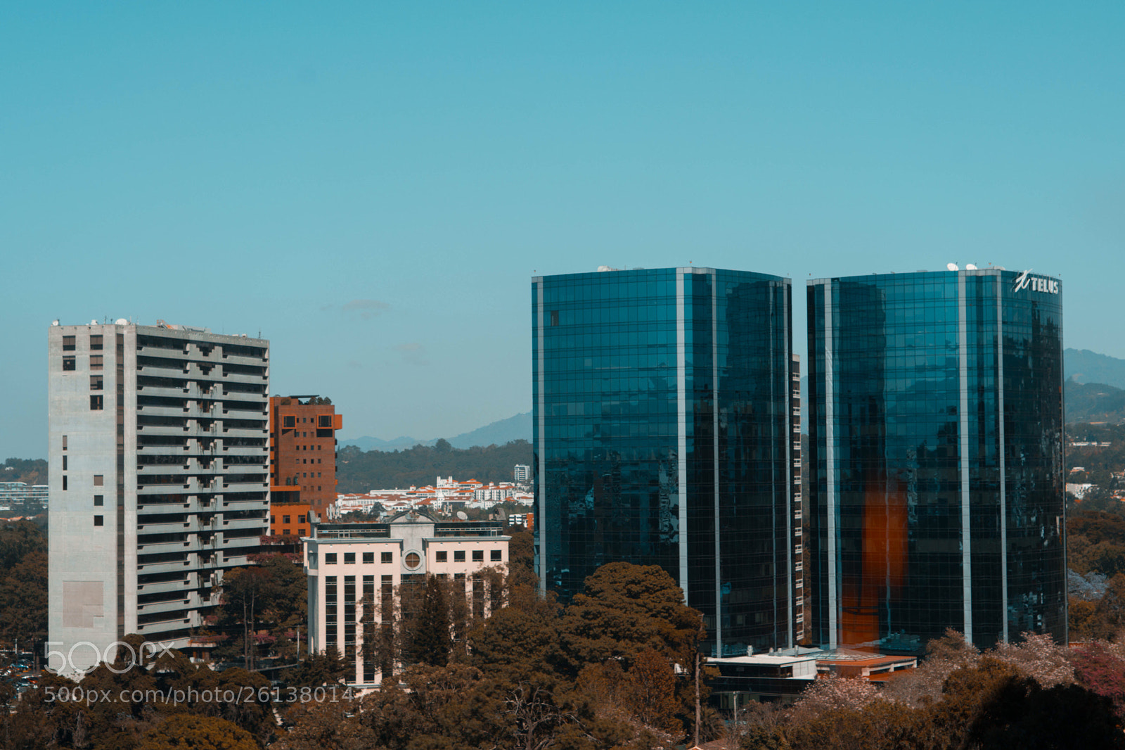 Sony a6500 sample photo. Untitled photography