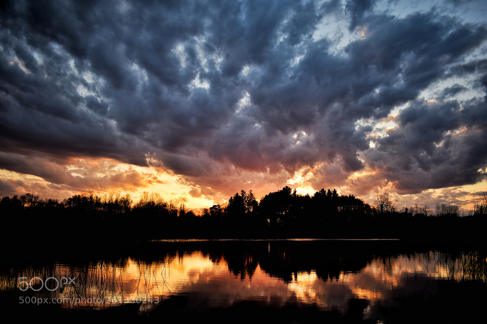 Nikon D3400 sample photo. Sky on fire photography