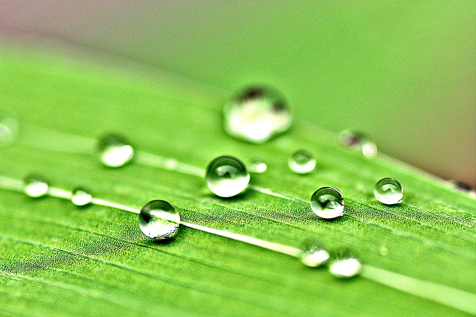 Nikon D3400 sample photo
