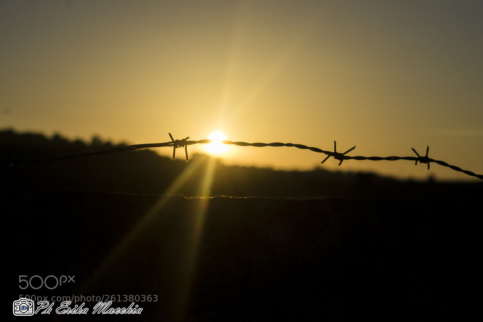 Nikon D3400 sample photo. Freedom photography