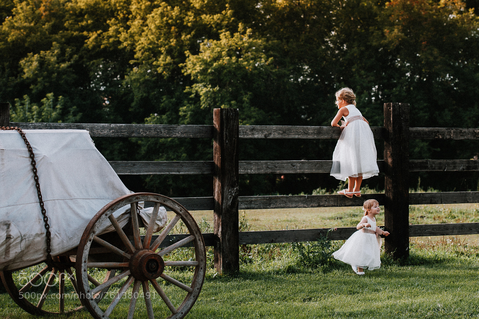 Nikon D700 sample photo. Flower girls play photography