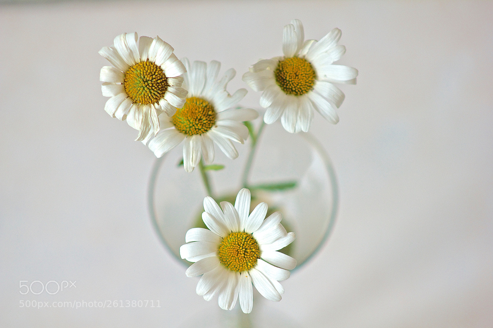 Canon EOS 550D (EOS Rebel T2i / EOS Kiss X4) sample photo. Quatuor photography