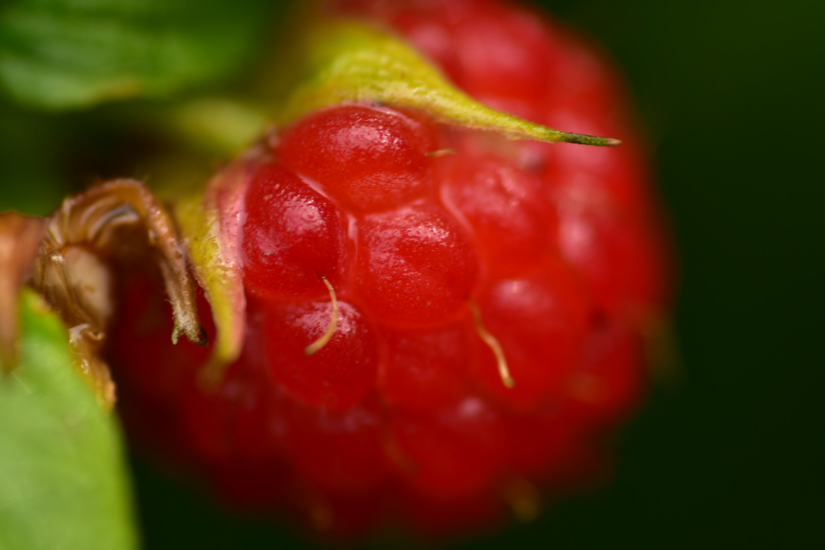 Nikon D3400 sample photo