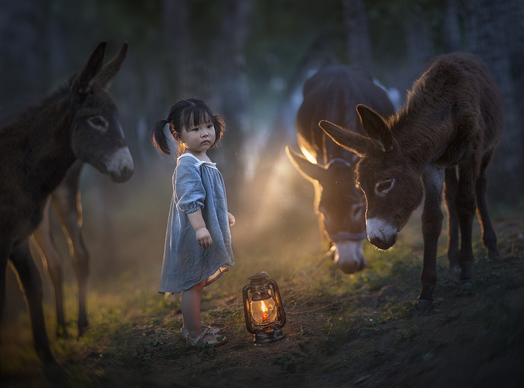 power of the light.. by Elena Shumilova on 500px.com