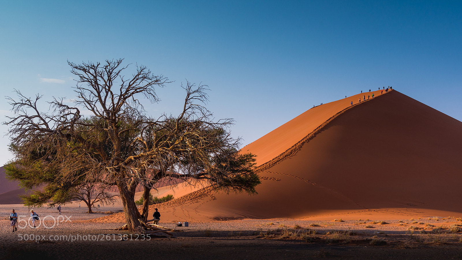 Nikon D600 sample photo. Near dune 45 photography