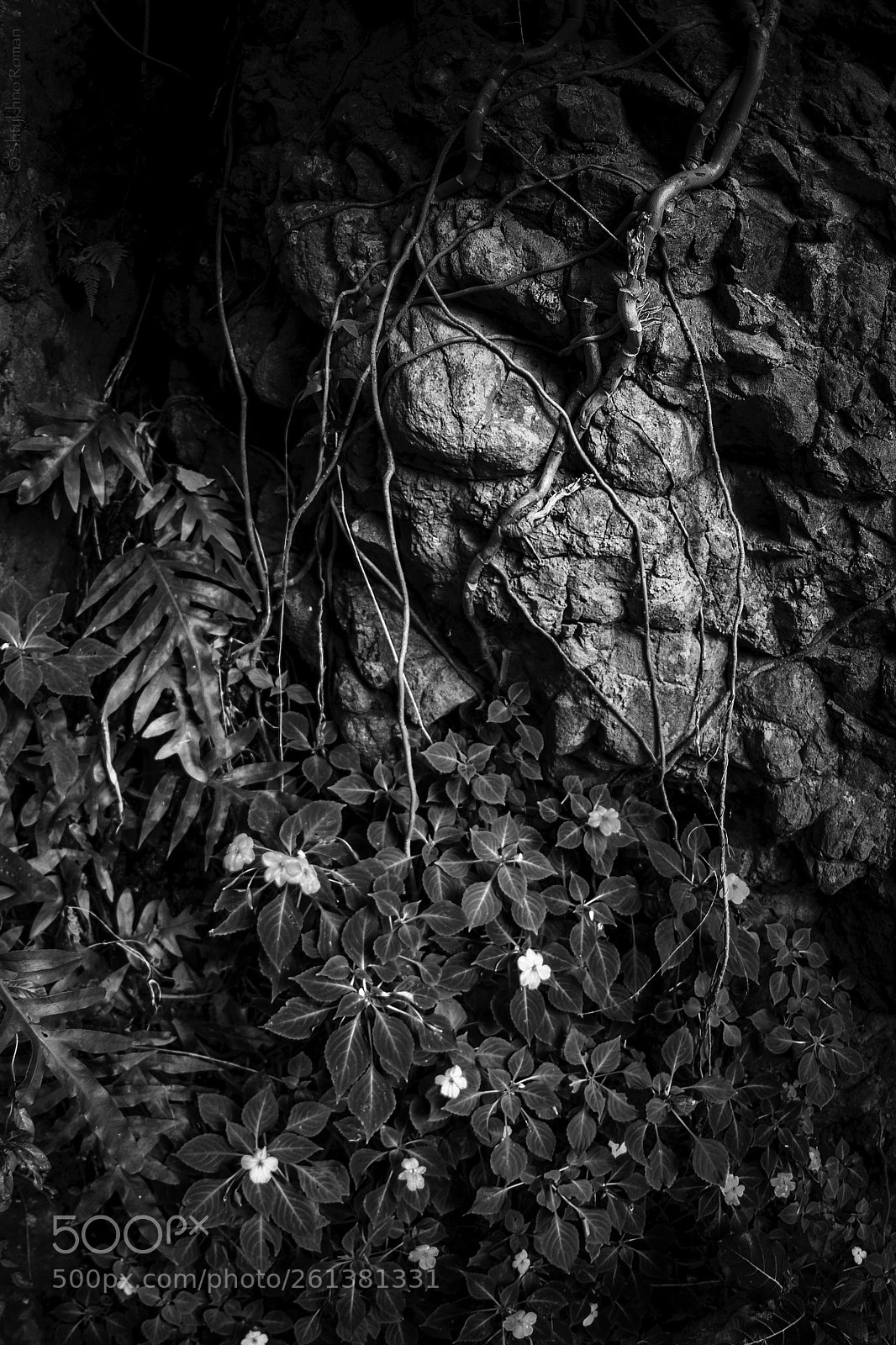 Canon EOS 350D (EOS Digital Rebel XT / EOS Kiss Digital N) sample photo. Stone wall photography