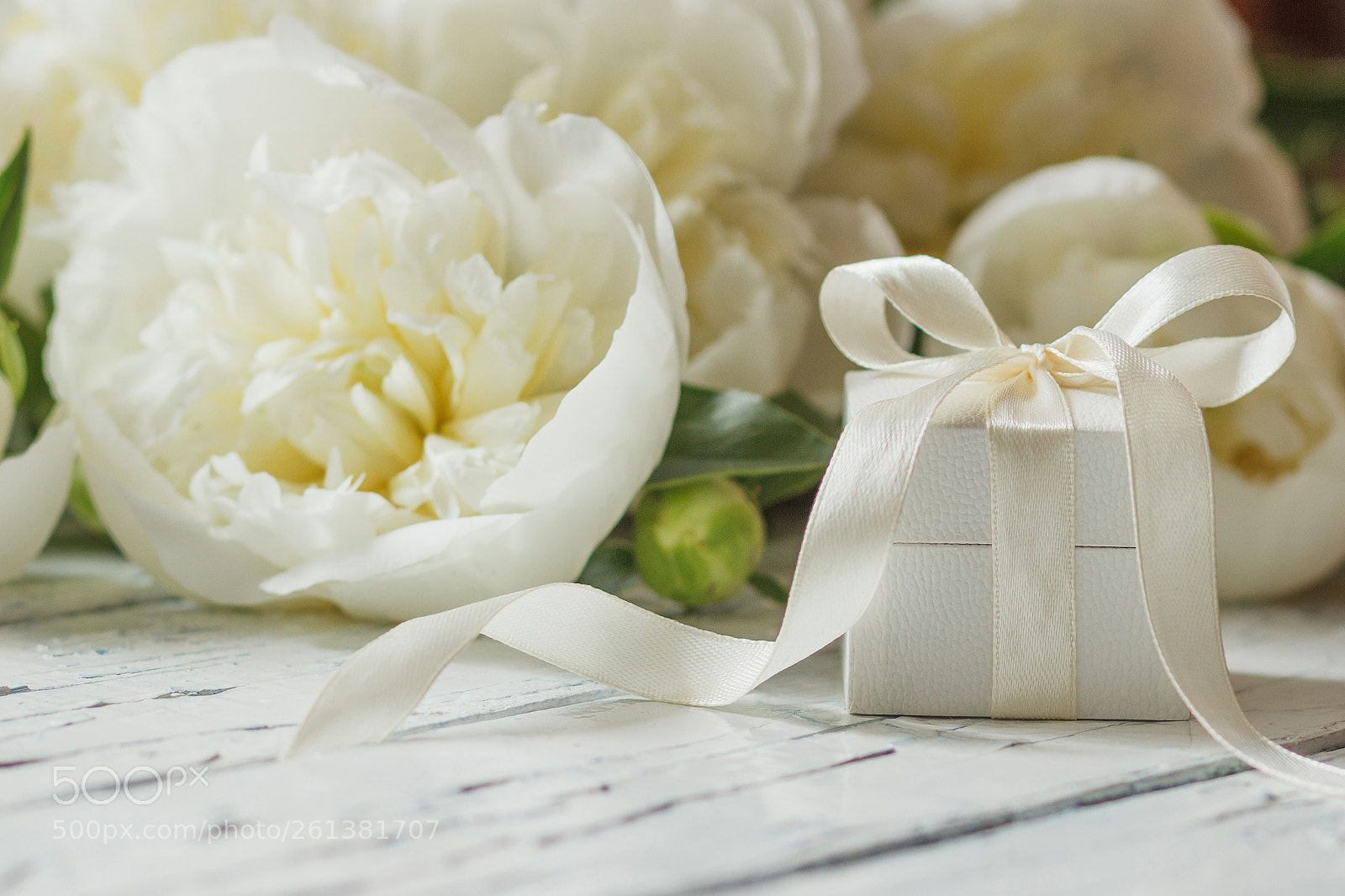 Canon EOS 600D (Rebel EOS T3i / EOS Kiss X5) sample photo. Bouquet of white peonies photography