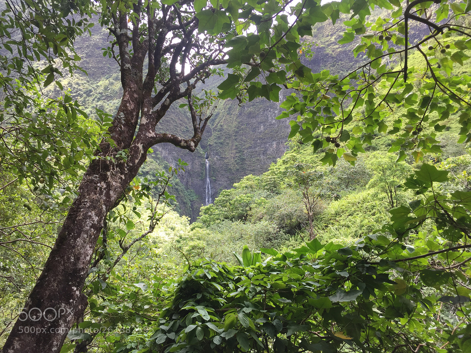 Apple iPhone 6 sample photo. Hanakapi'ai falls.jpg photography
