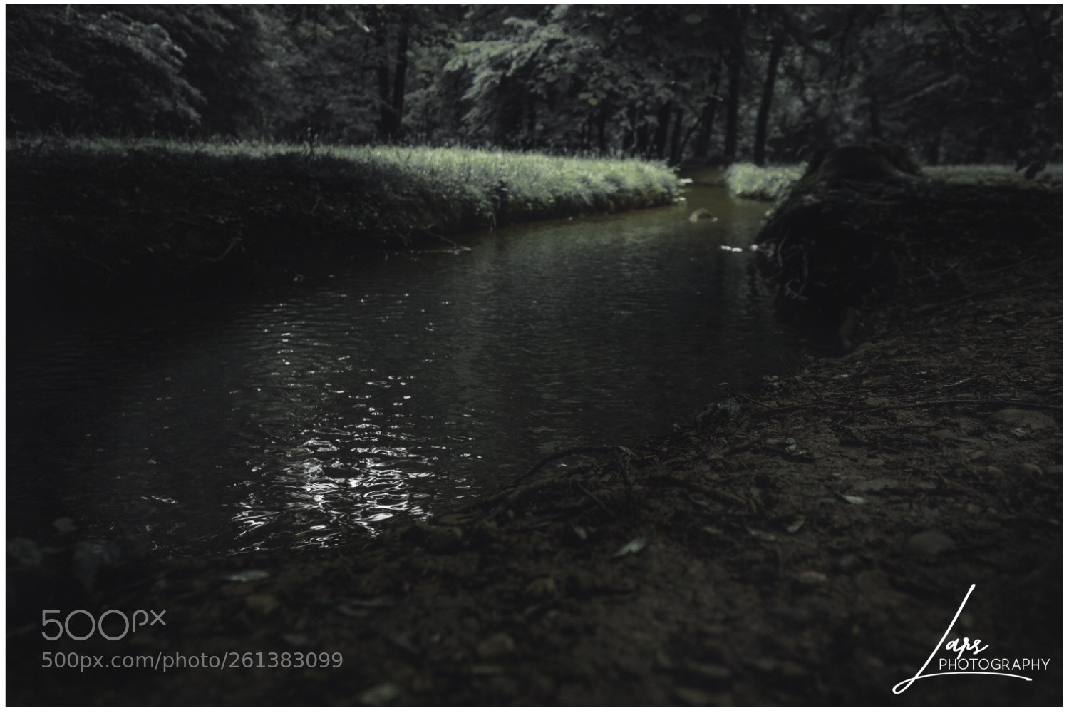 Nikon D5300 sample photo. Moodyforest photography