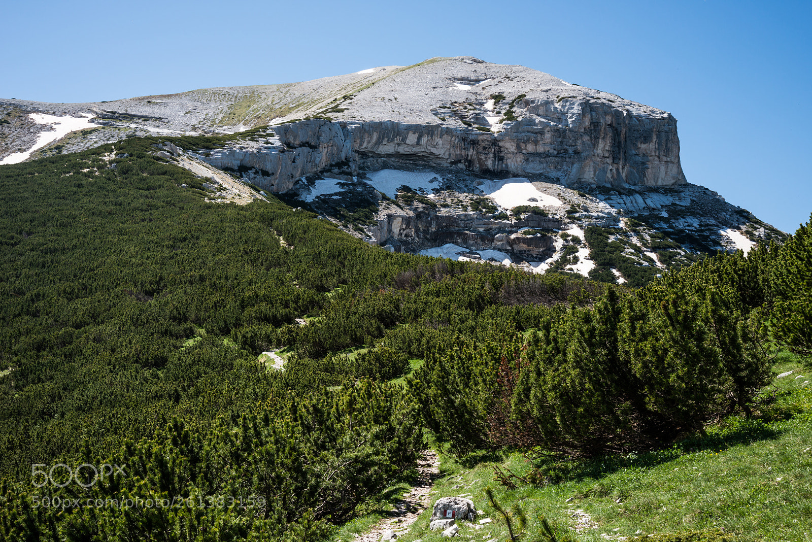 Nikon D800E sample photo. Cima focalone photography