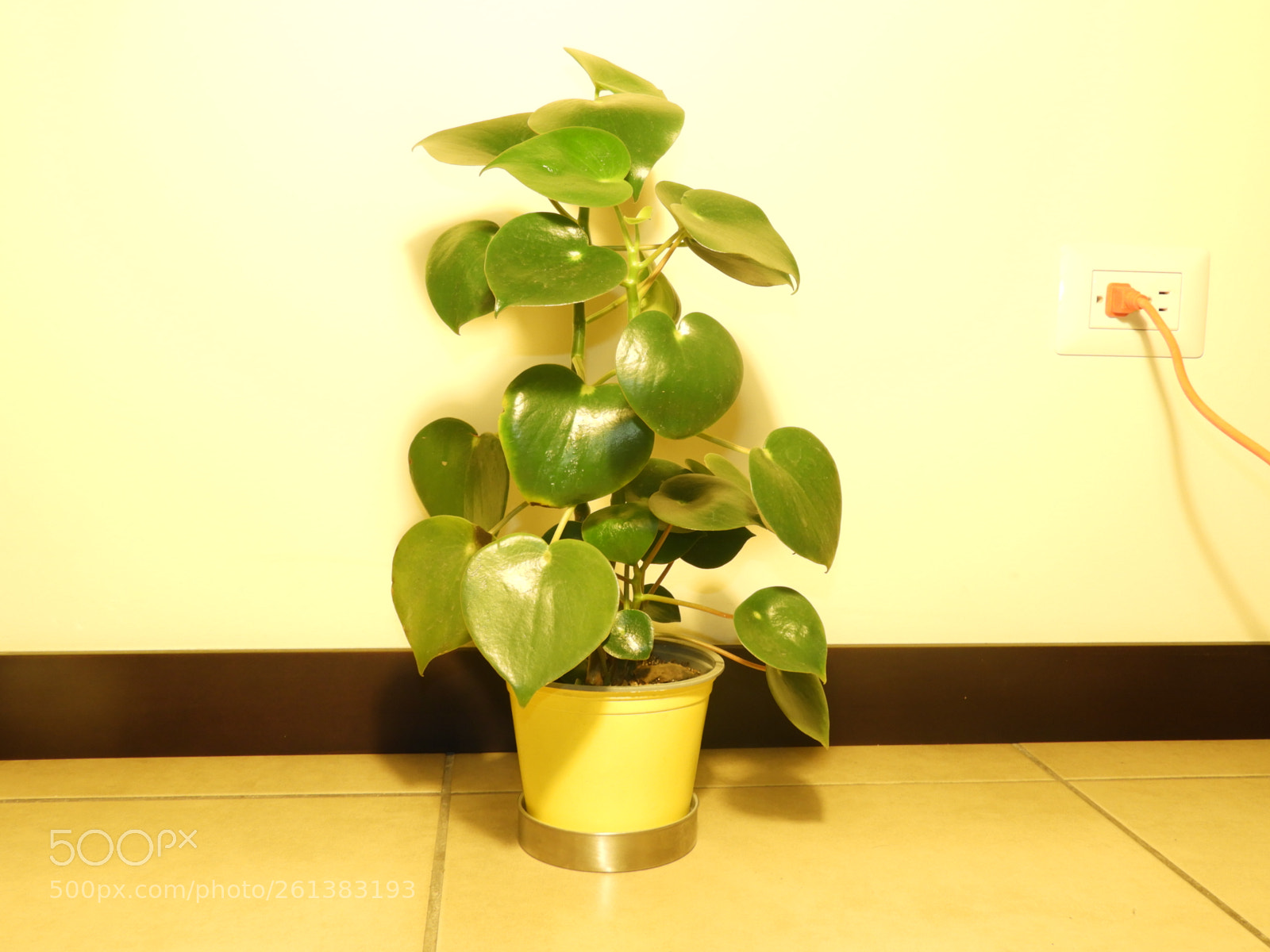 Nikon Coolpix B700 sample photo. Entendiendo la luz photography