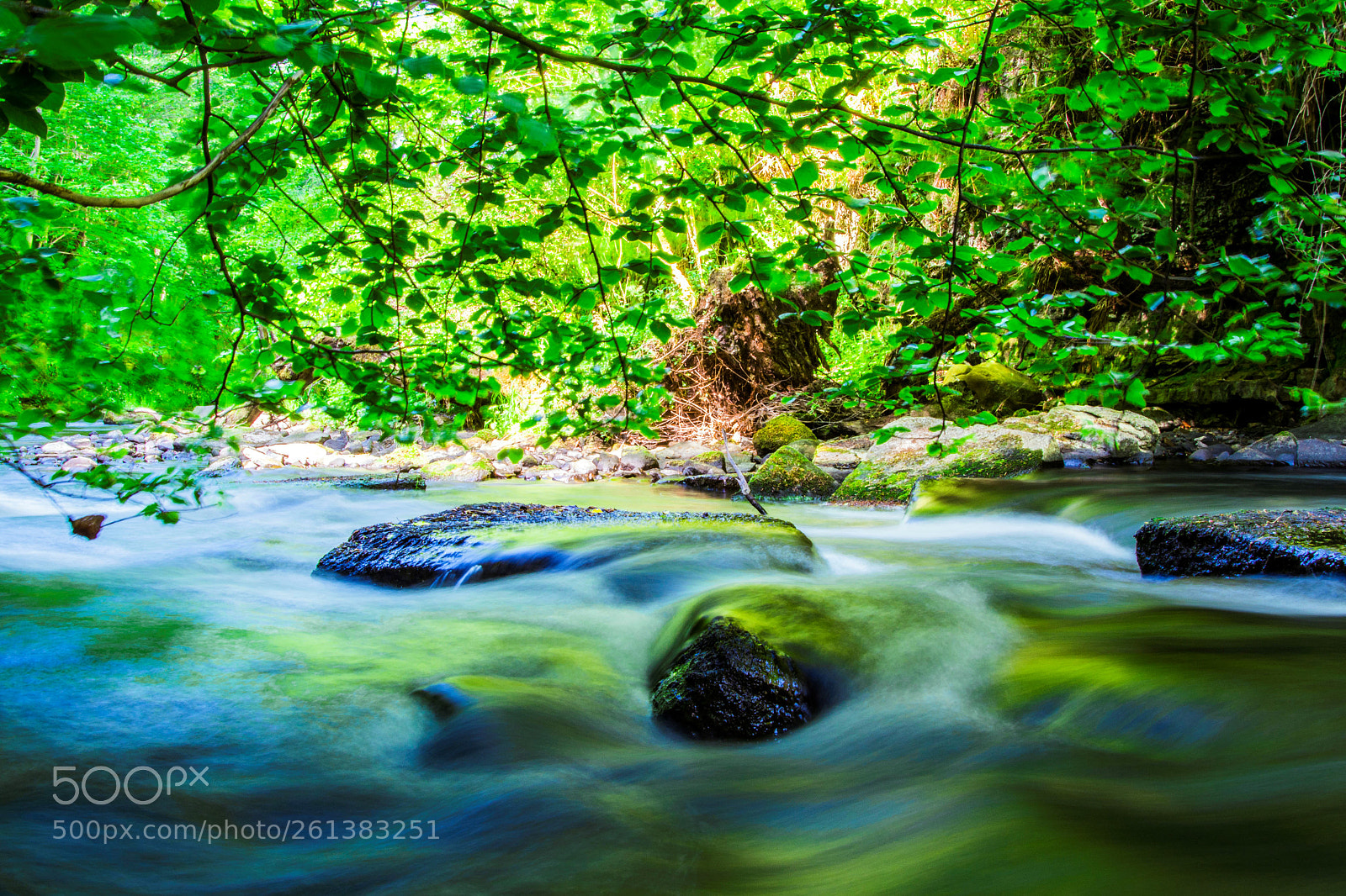 Nikon D5200 sample photo. Standing water photography