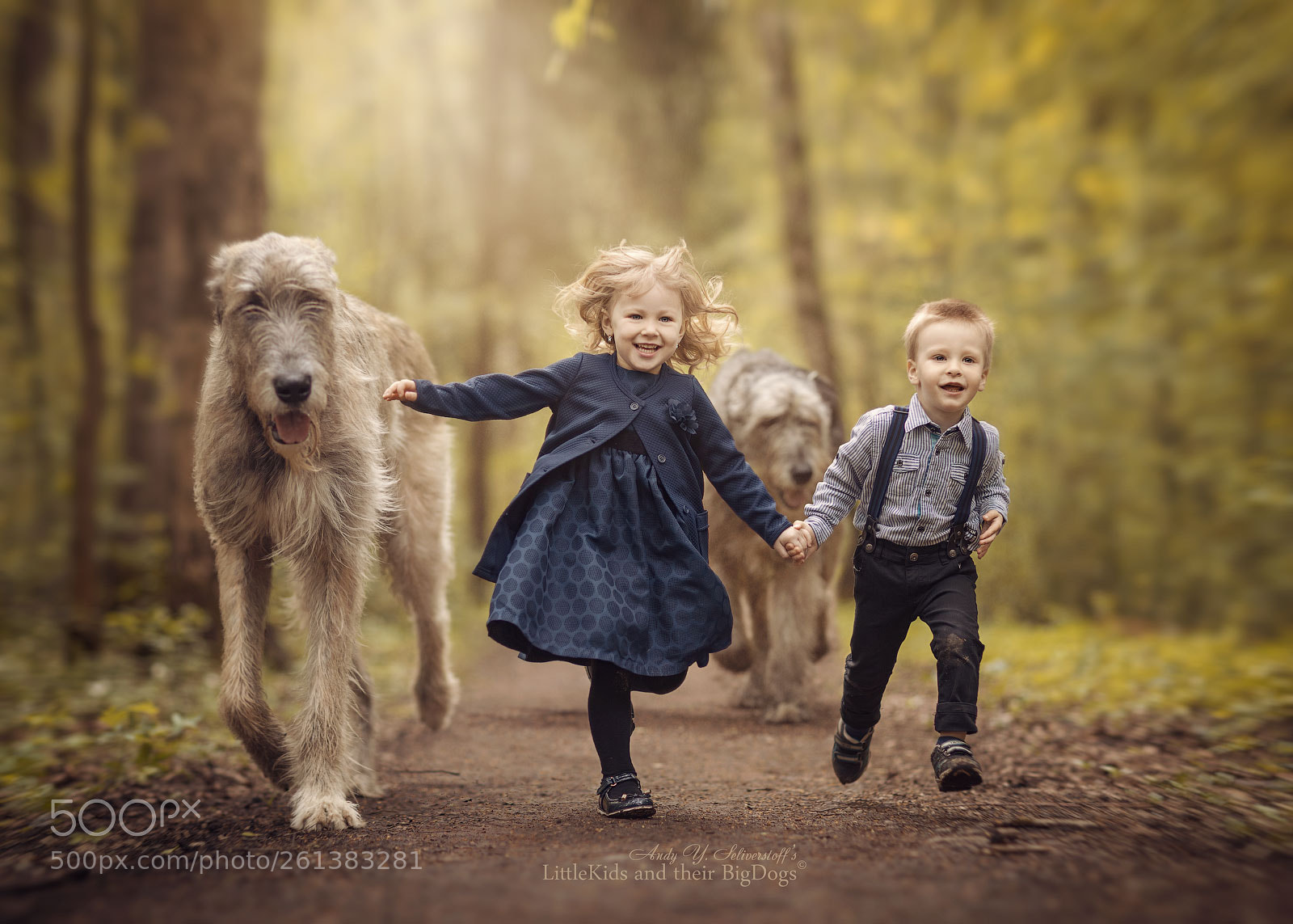 Canon EOS 5D Mark IV sample photo. Irish wolfhounds photography