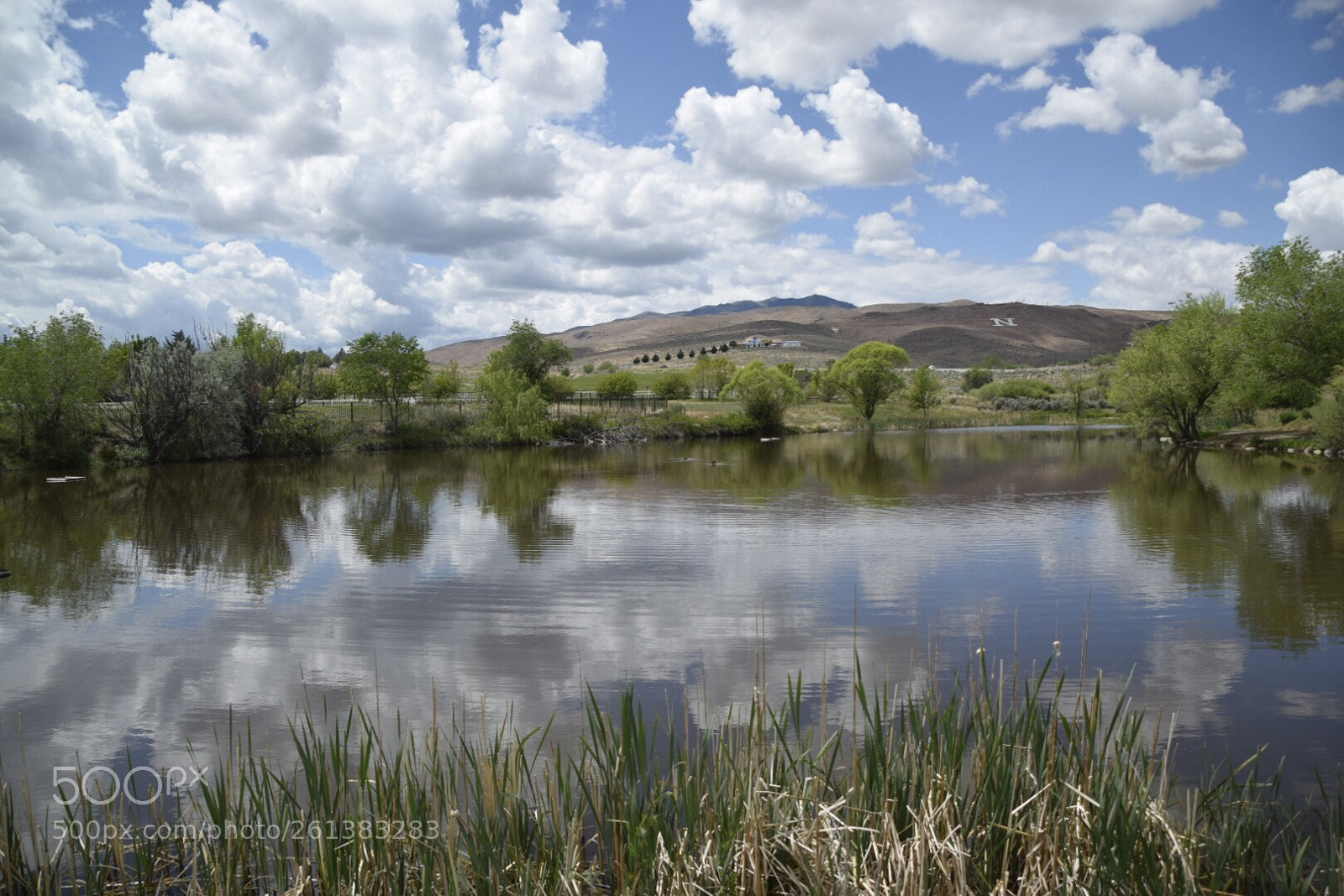 Nikon D5300 sample photo. Quiet reflections  photography