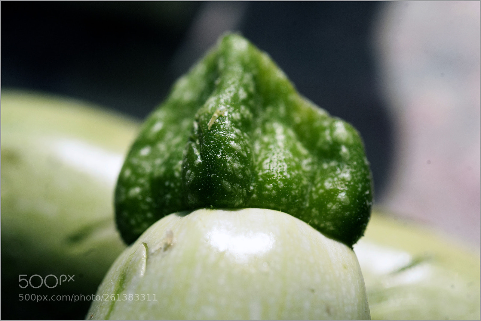 Nikon D700 sample photo. *** photography