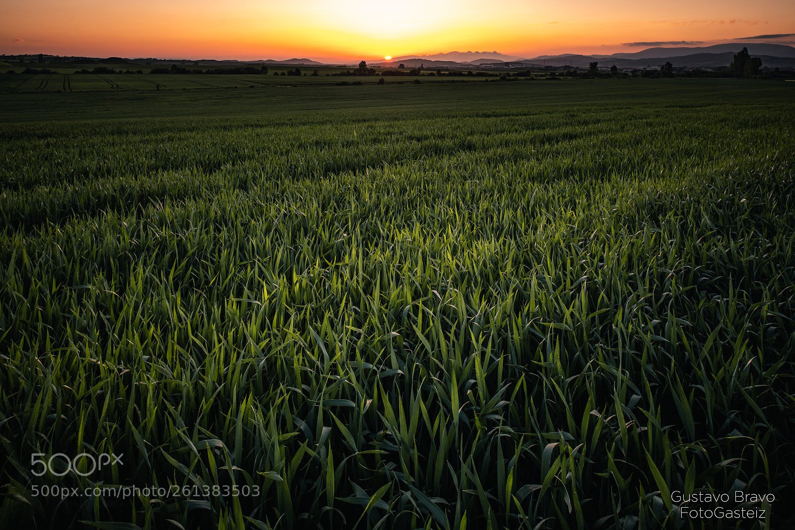 Nikon D850 sample photo. Serie 'lugar' campo de photography
