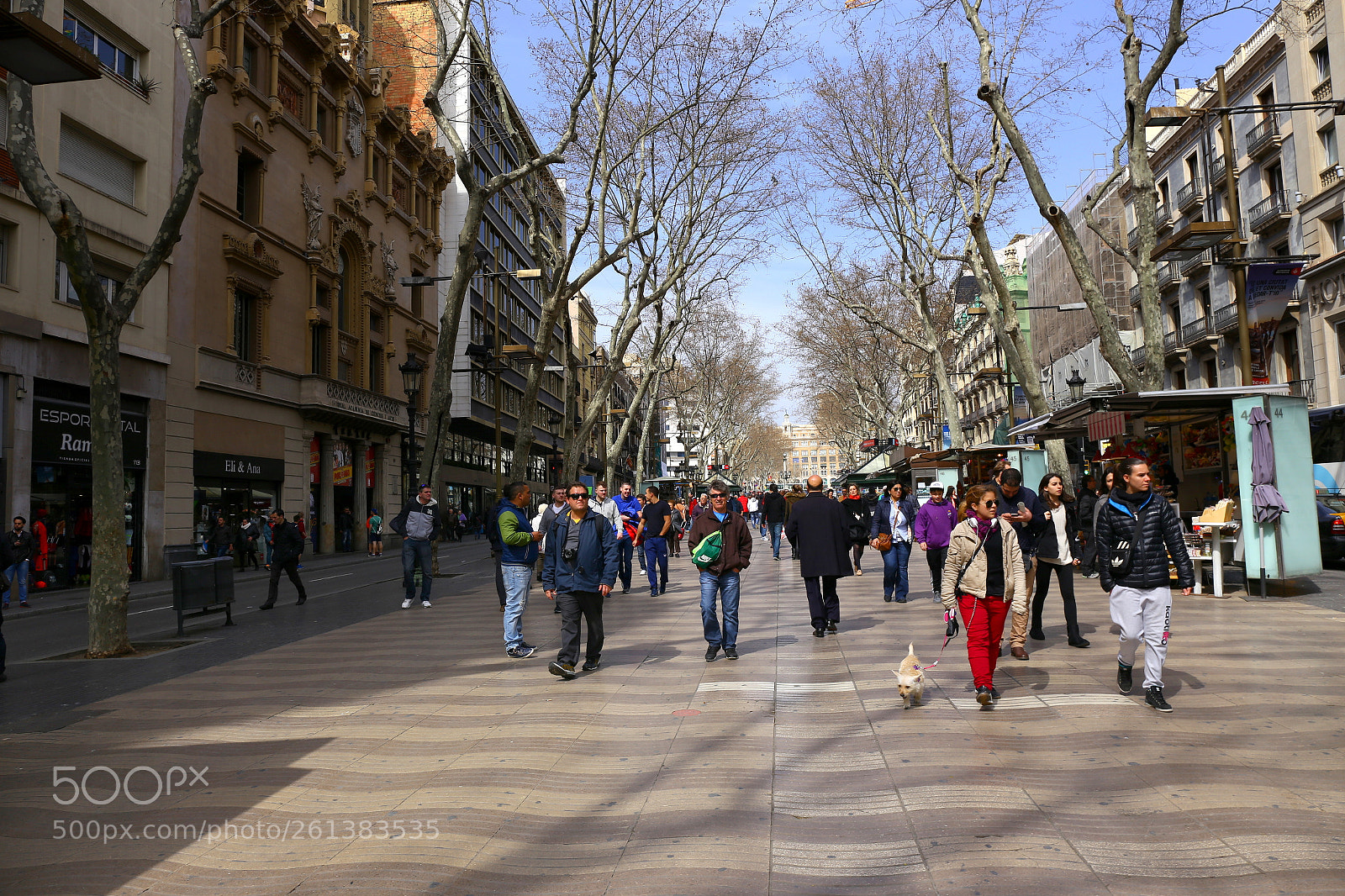 Canon EF 24-70mm F4L IS USM sample photo. Walking on the rambla photography