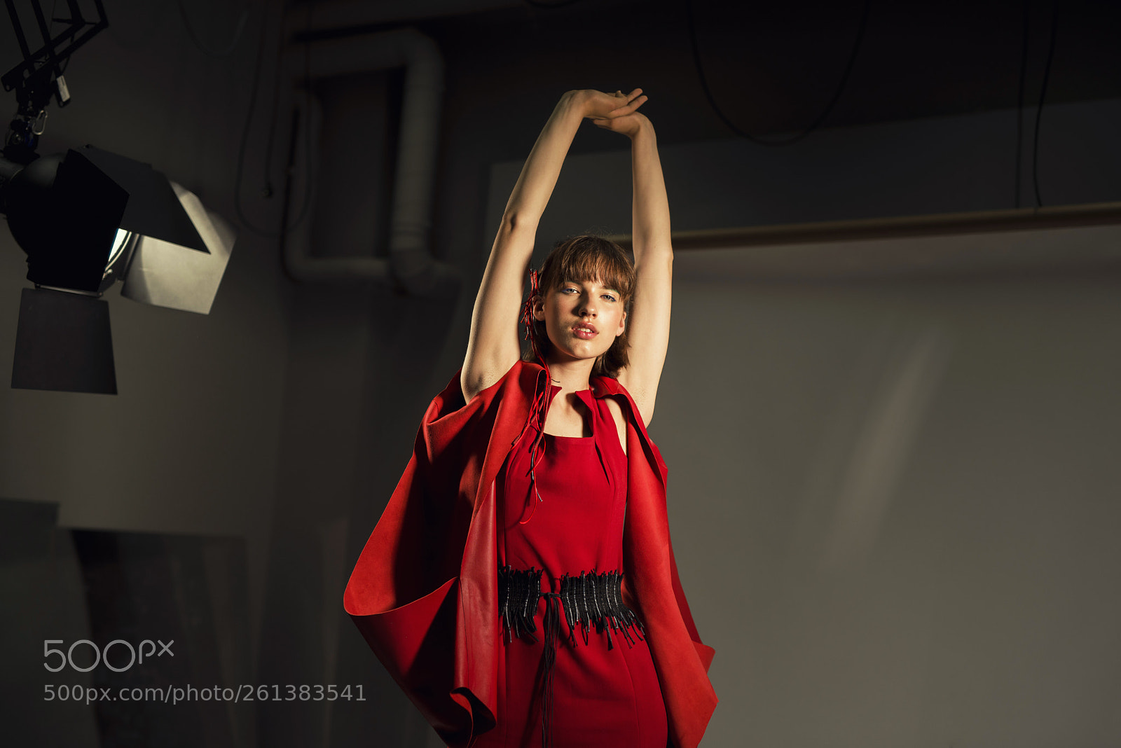 Nikon D750 sample photo. Confortably red photography