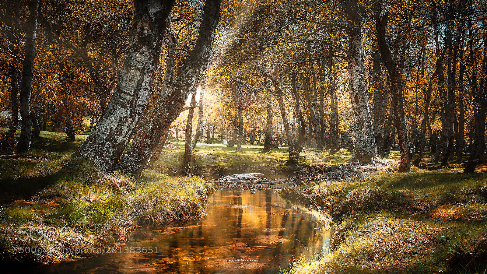 Nikon D810 sample photo. Light rays photography