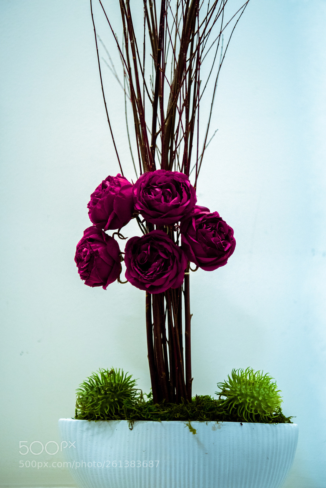 Nikon D810 sample photo. Dsc photography