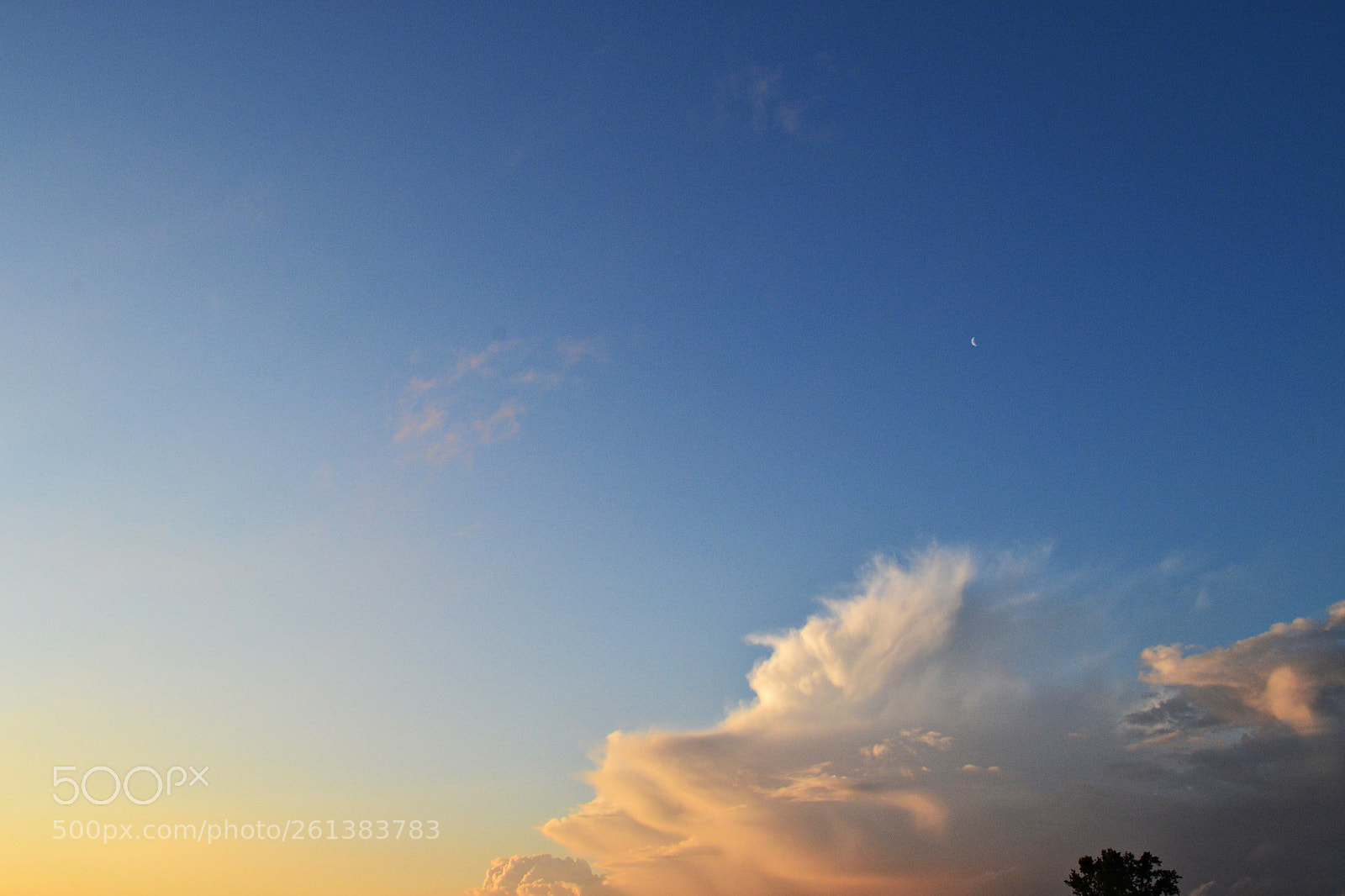 Nikon D3100 sample photo. When the moon is photography