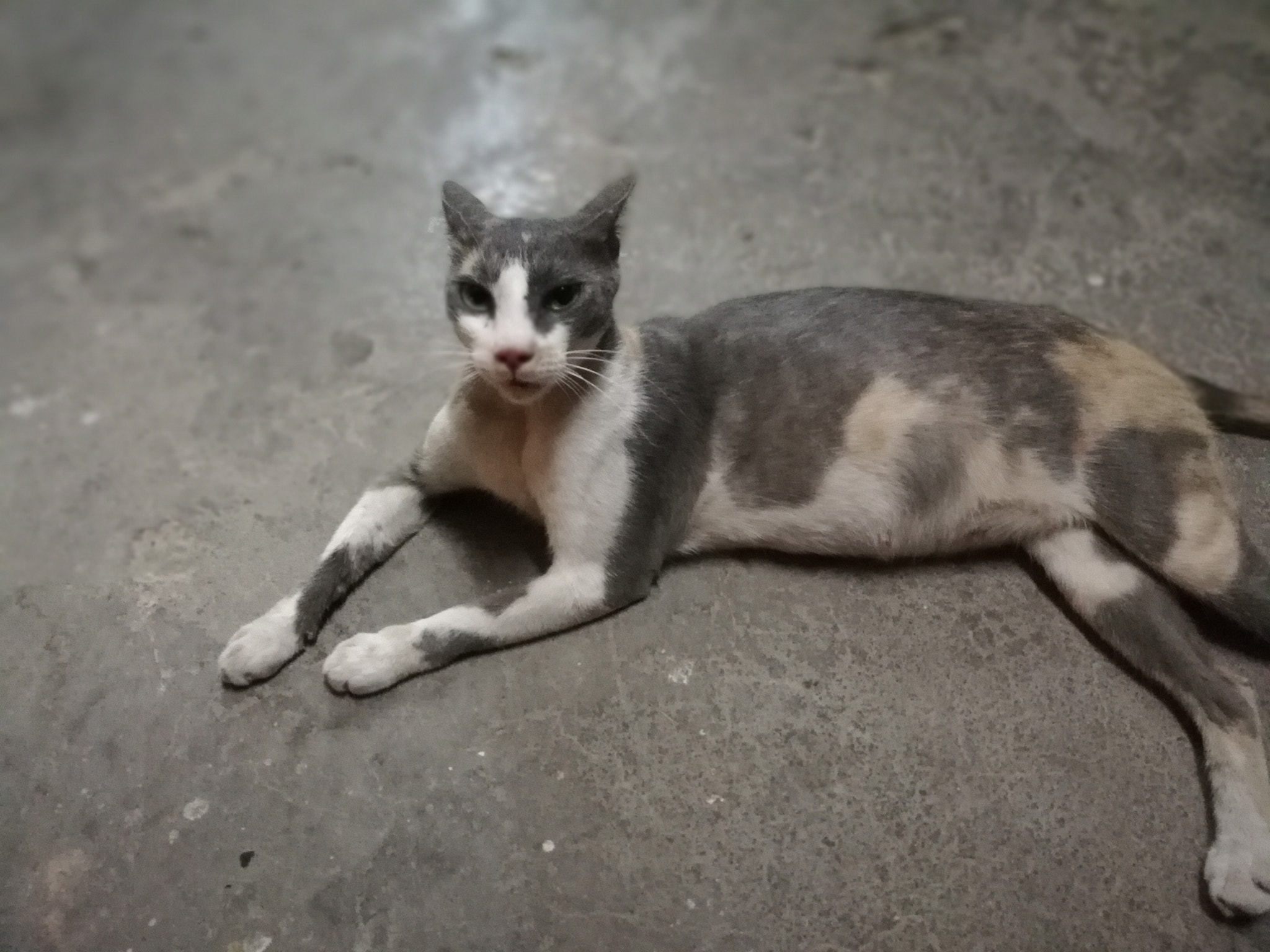 HUAWEI Mate 10 Lite sample photo