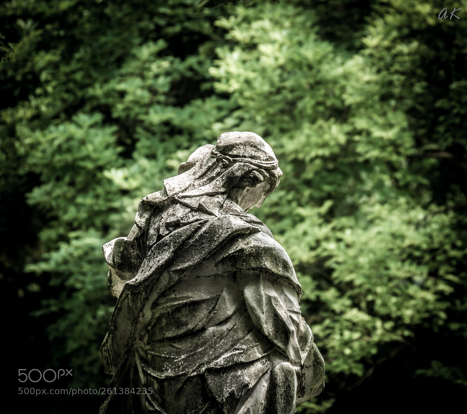 Sony SLT-A58 sample photo. Sorrow photography
