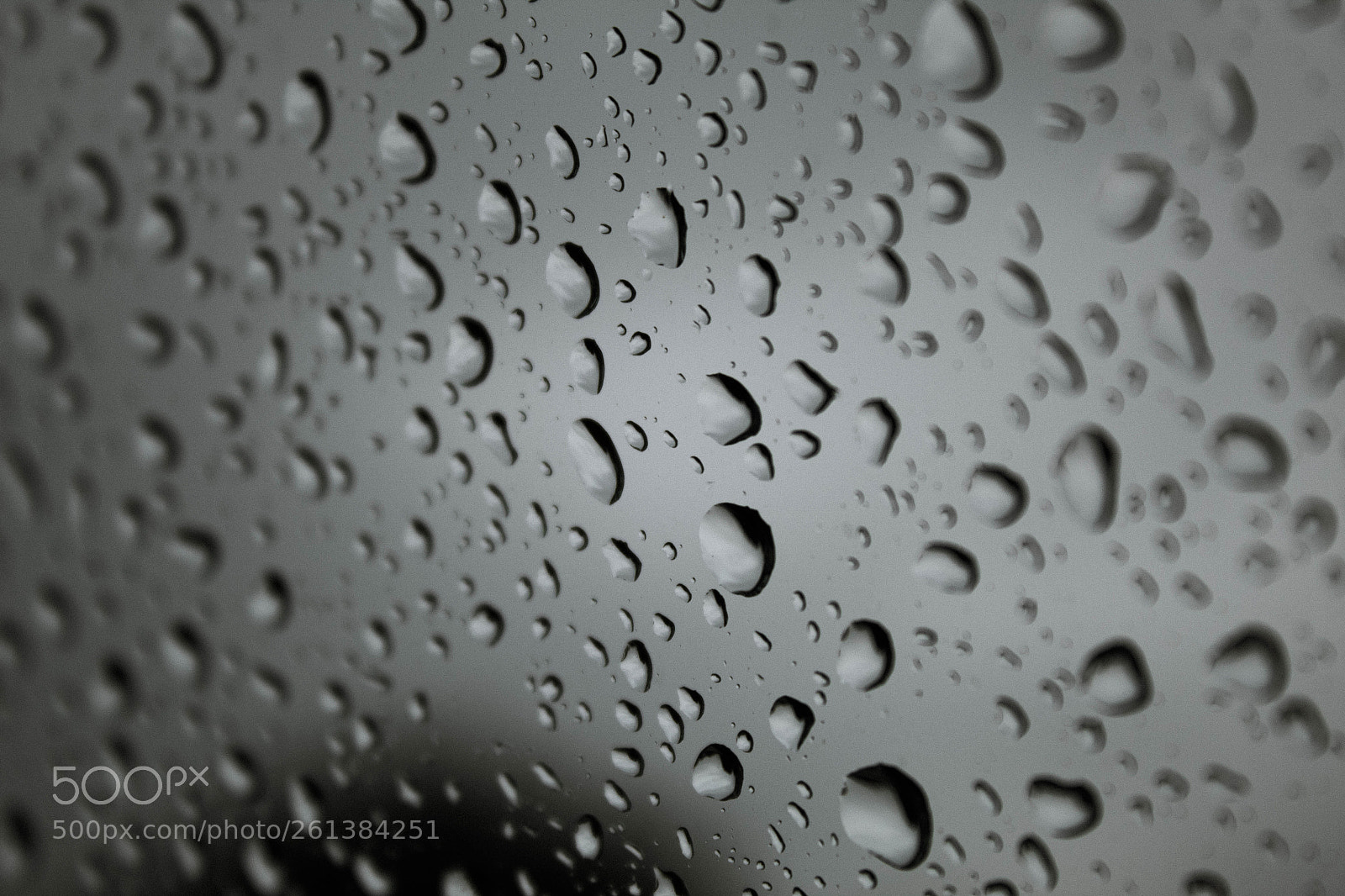 Canon EOS 1300D (EOS Rebel T6 / EOS Kiss X80) sample photo. Rain drops. photography