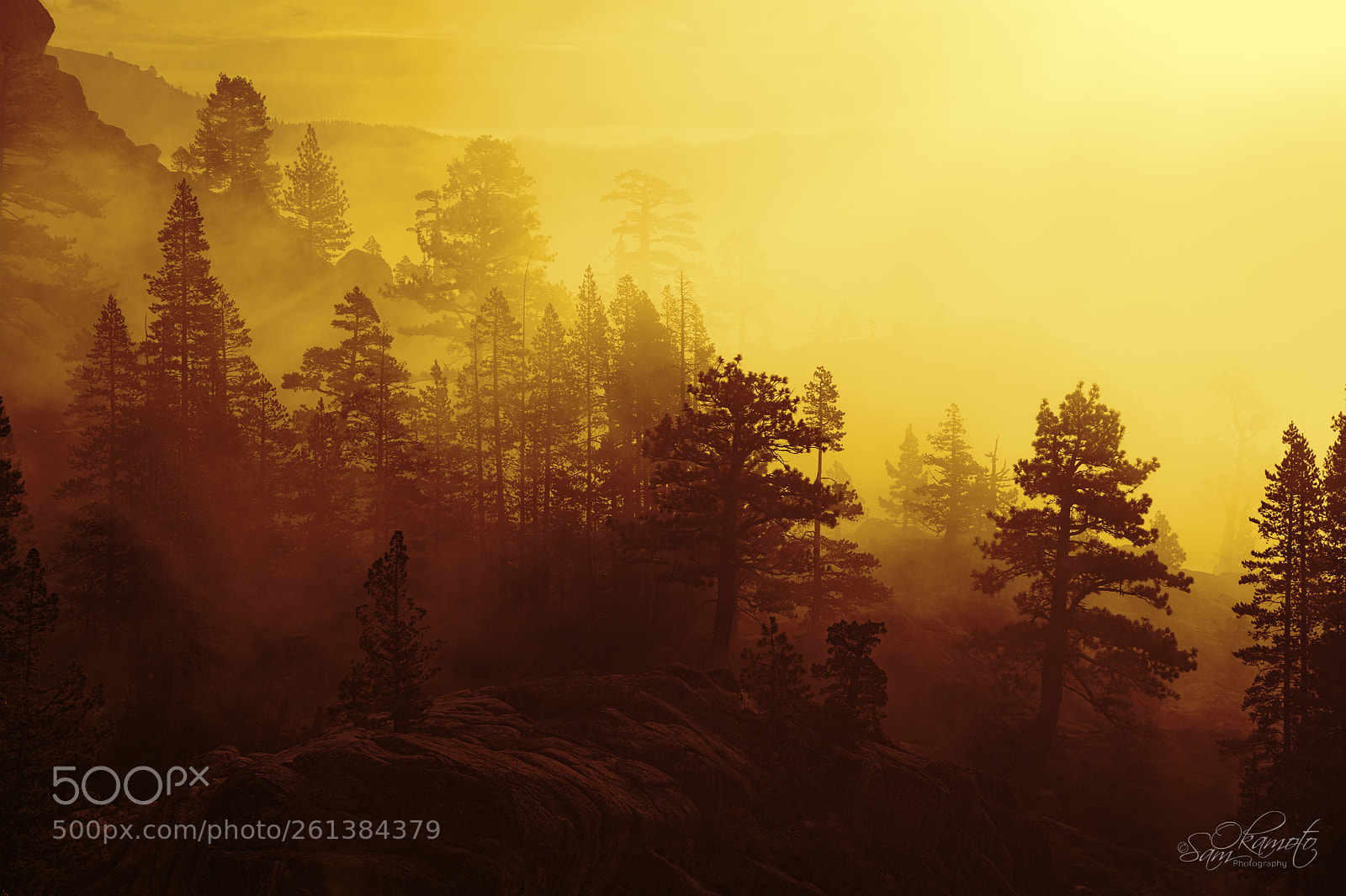 Nikon D7200 sample photo. Foggy summit photography