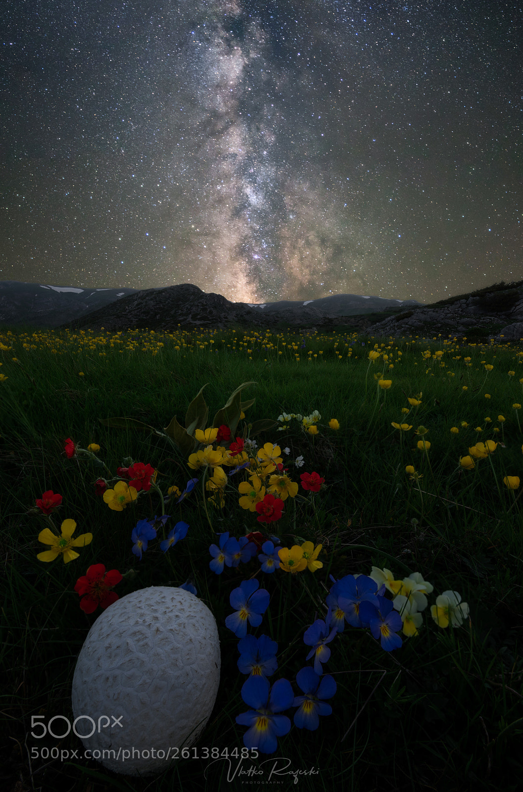 Nikon D810 sample photo. Requiem under the stars photography