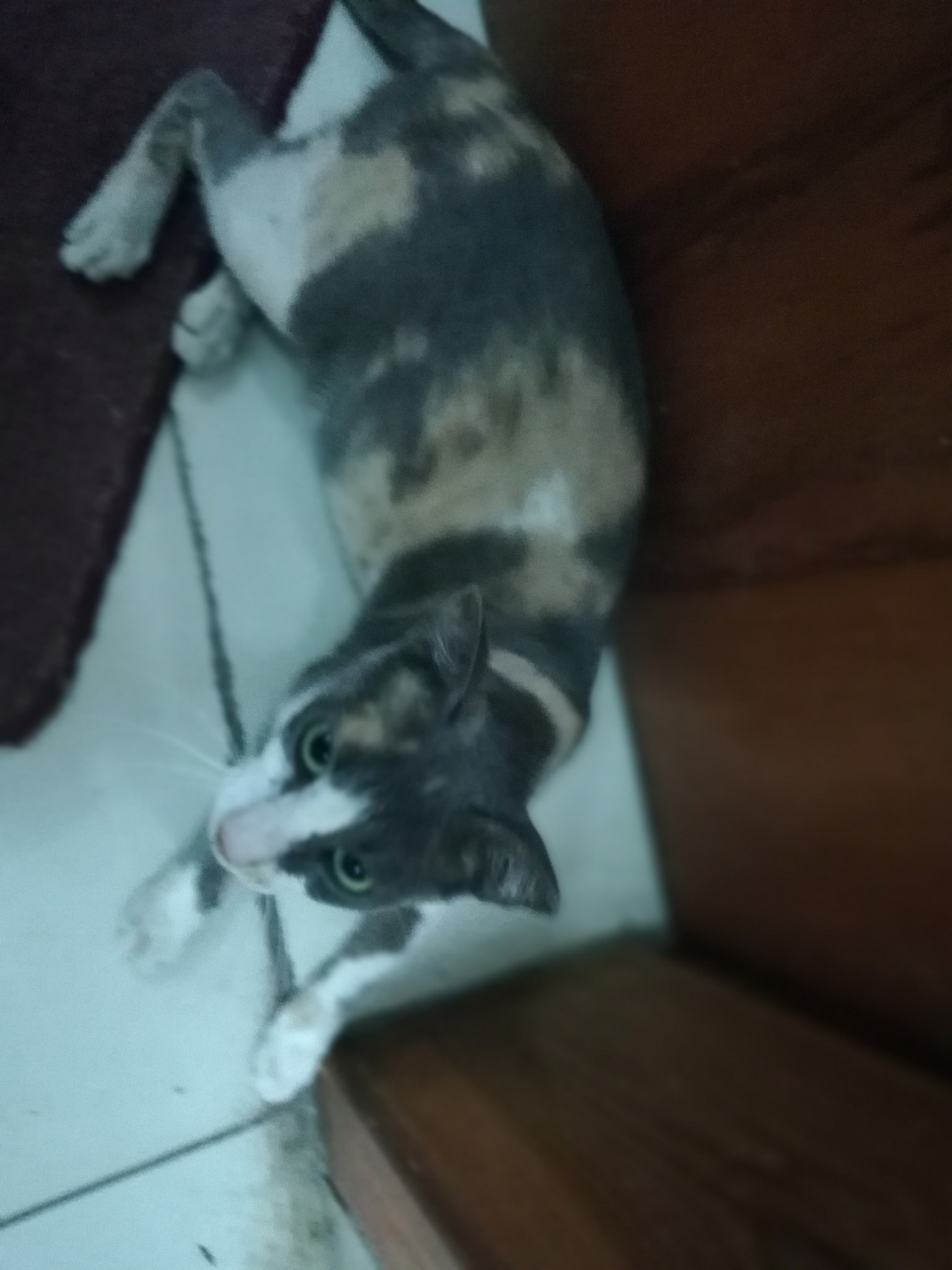 HUAWEI Mate 10 Lite sample photo