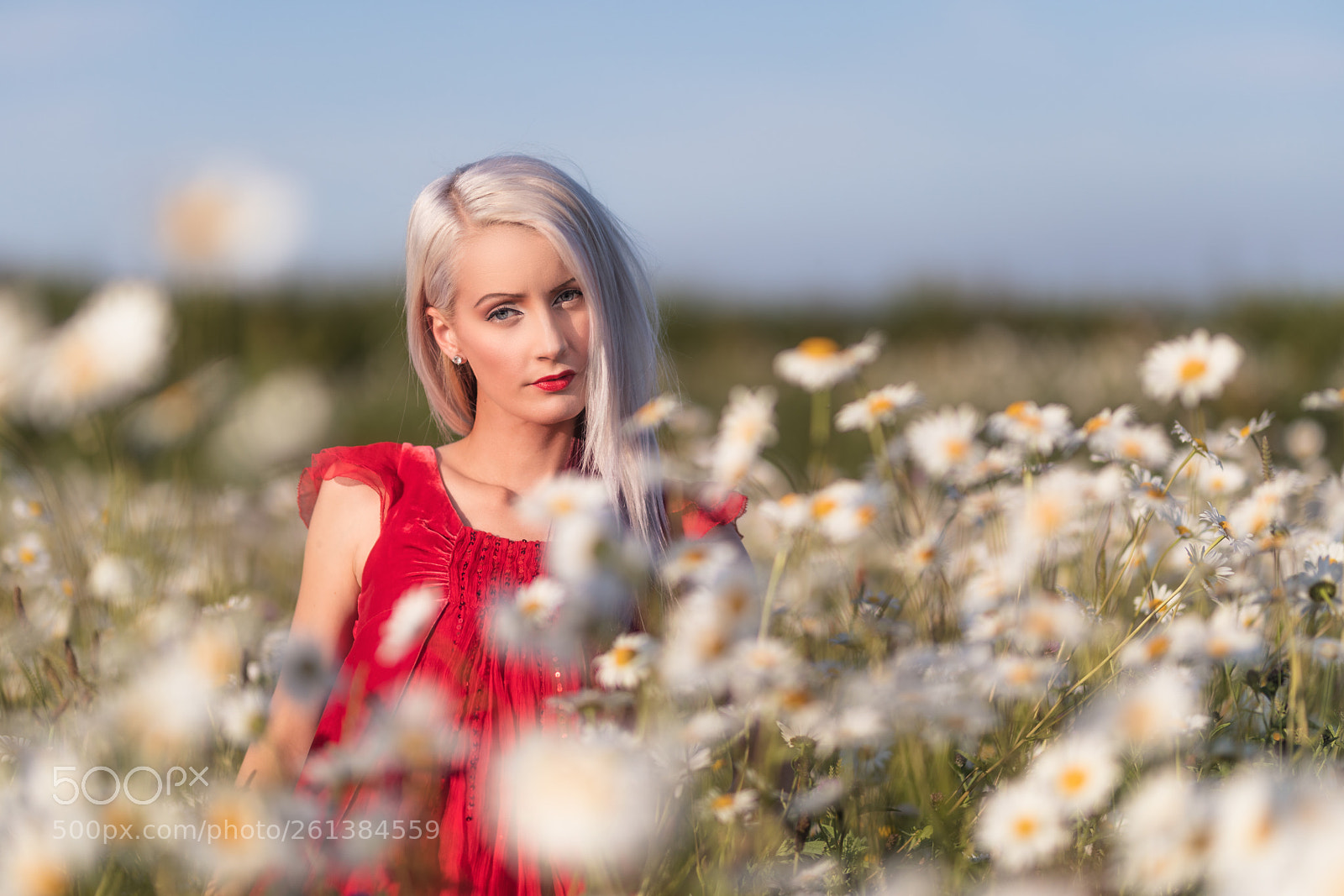 Canon EOS 5D Mark IV sample photo. Lady in red photography