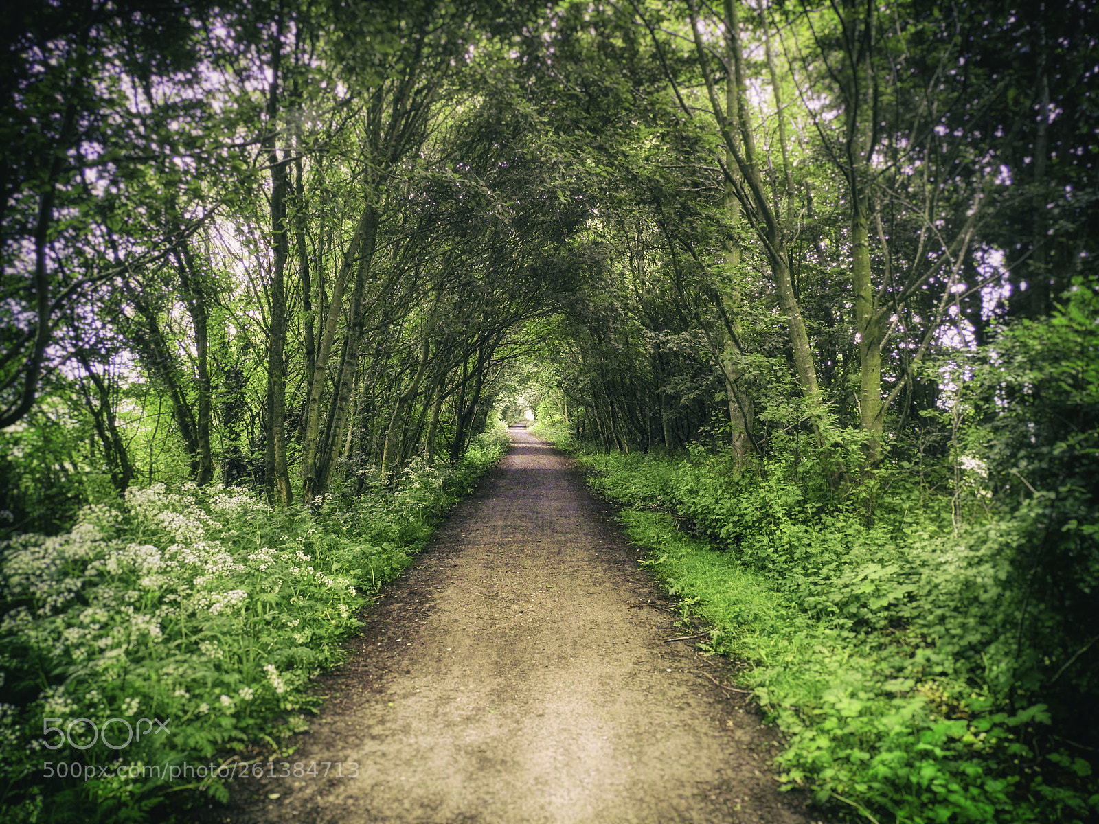 Nikon Coolpix P900 sample photo. Haswell to hart walkway photography
